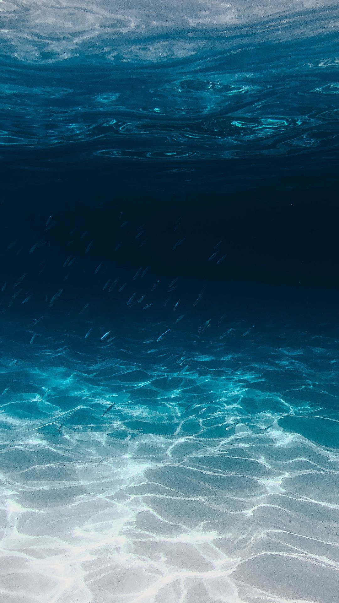 Best Ocean iPhone Wallpaper