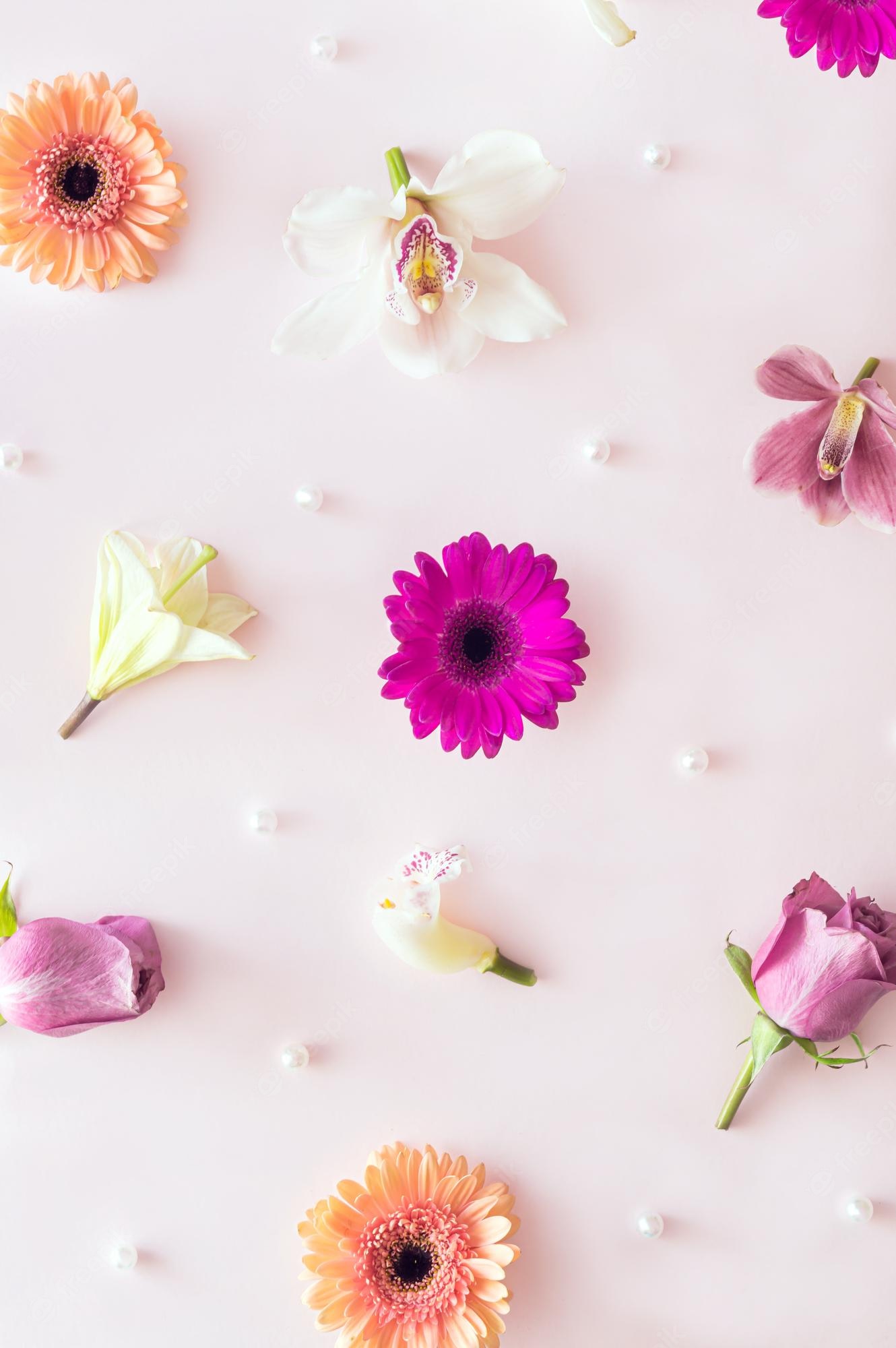 Premium Photo. Spring flower arrangement on a pastel pink background vibrant aesthetic flower wallpaper