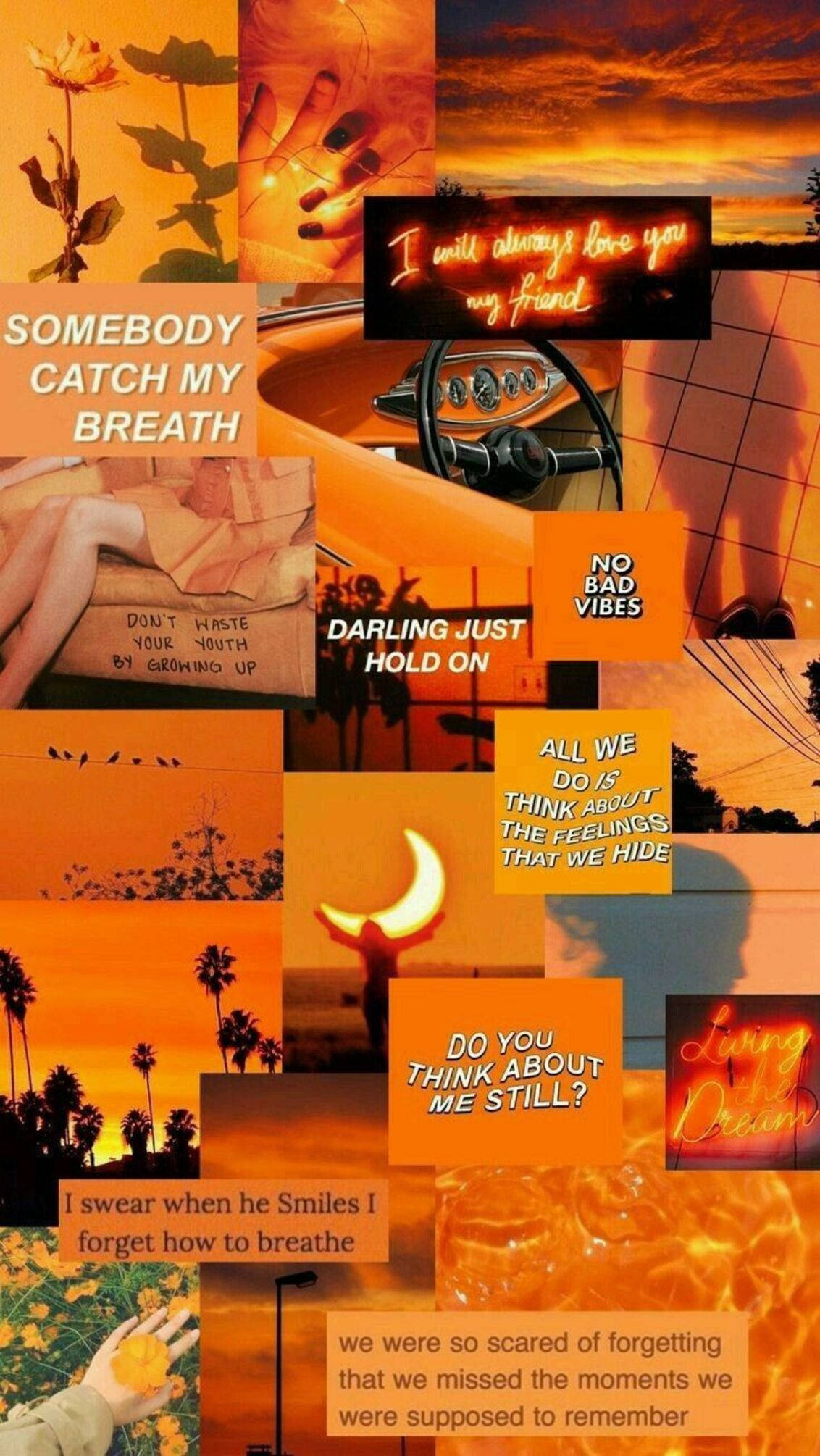 Download Orange Aesthetic Text Collage Phone Wallpaper