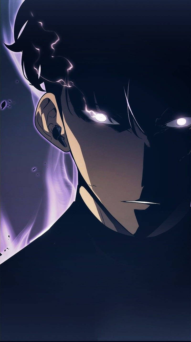 Solo Leveling Wallpaper