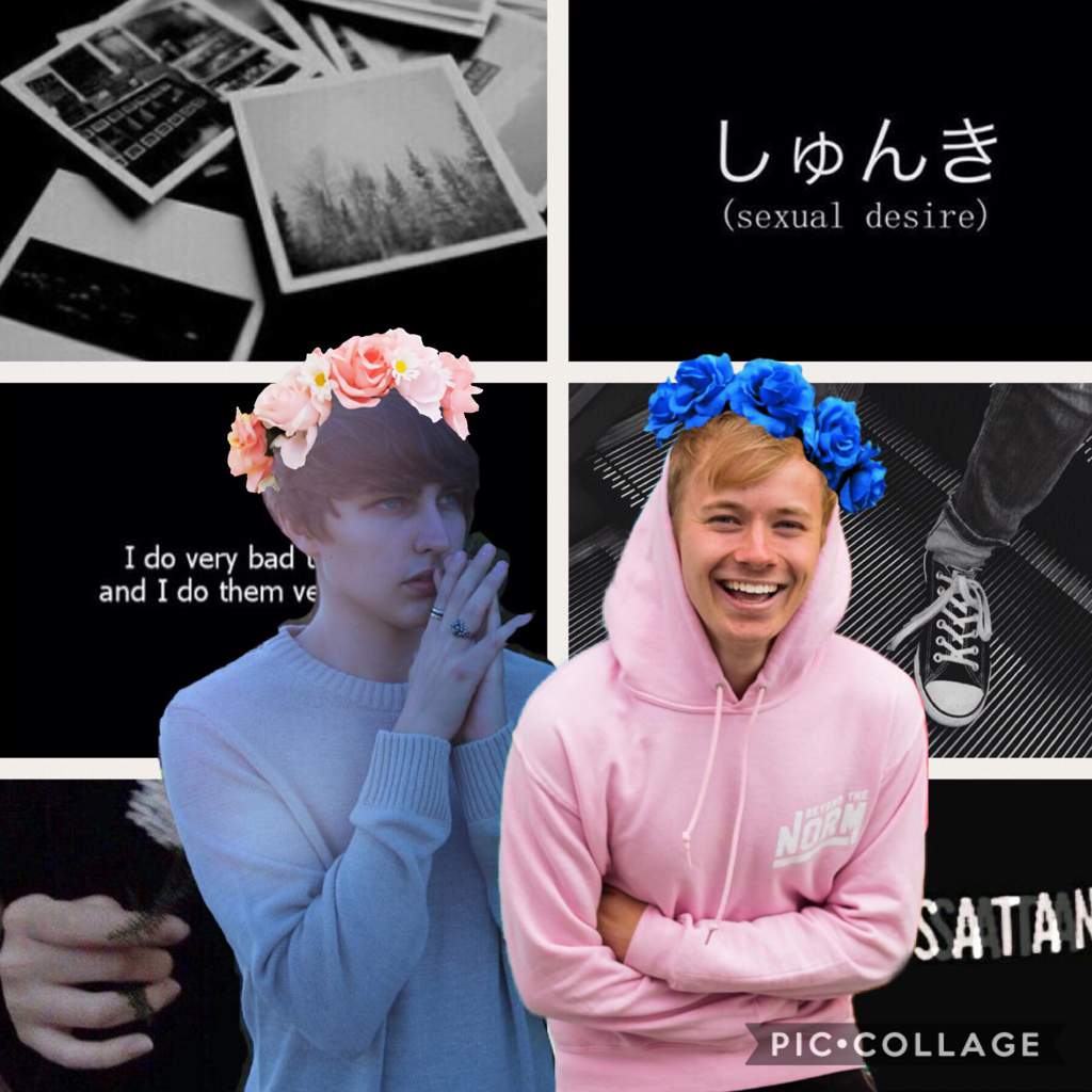 Sam And Colby Aesthetic Wallpapers Wallpaper Cave