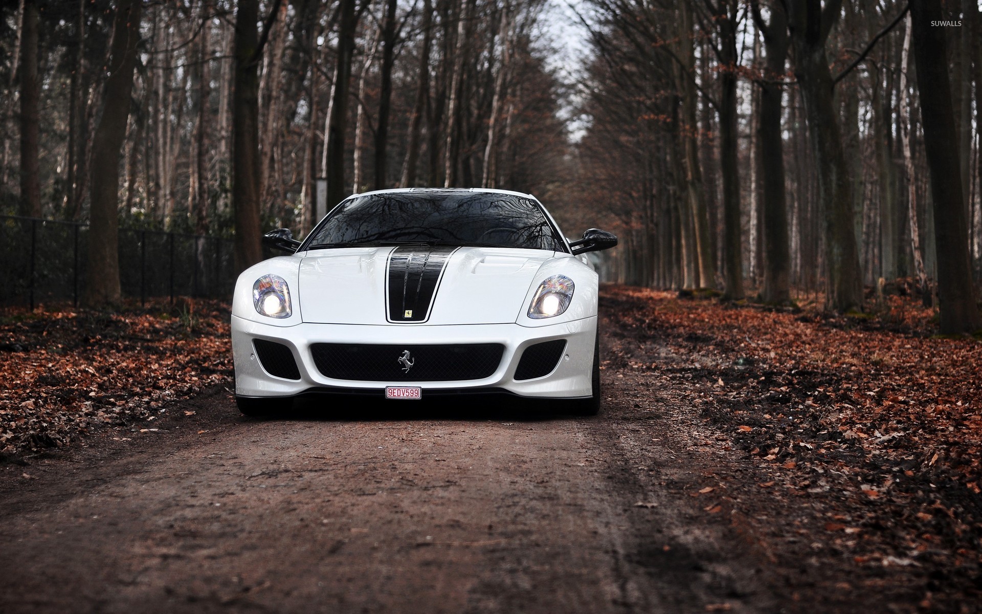 Ferrari 599 GTO Archives
