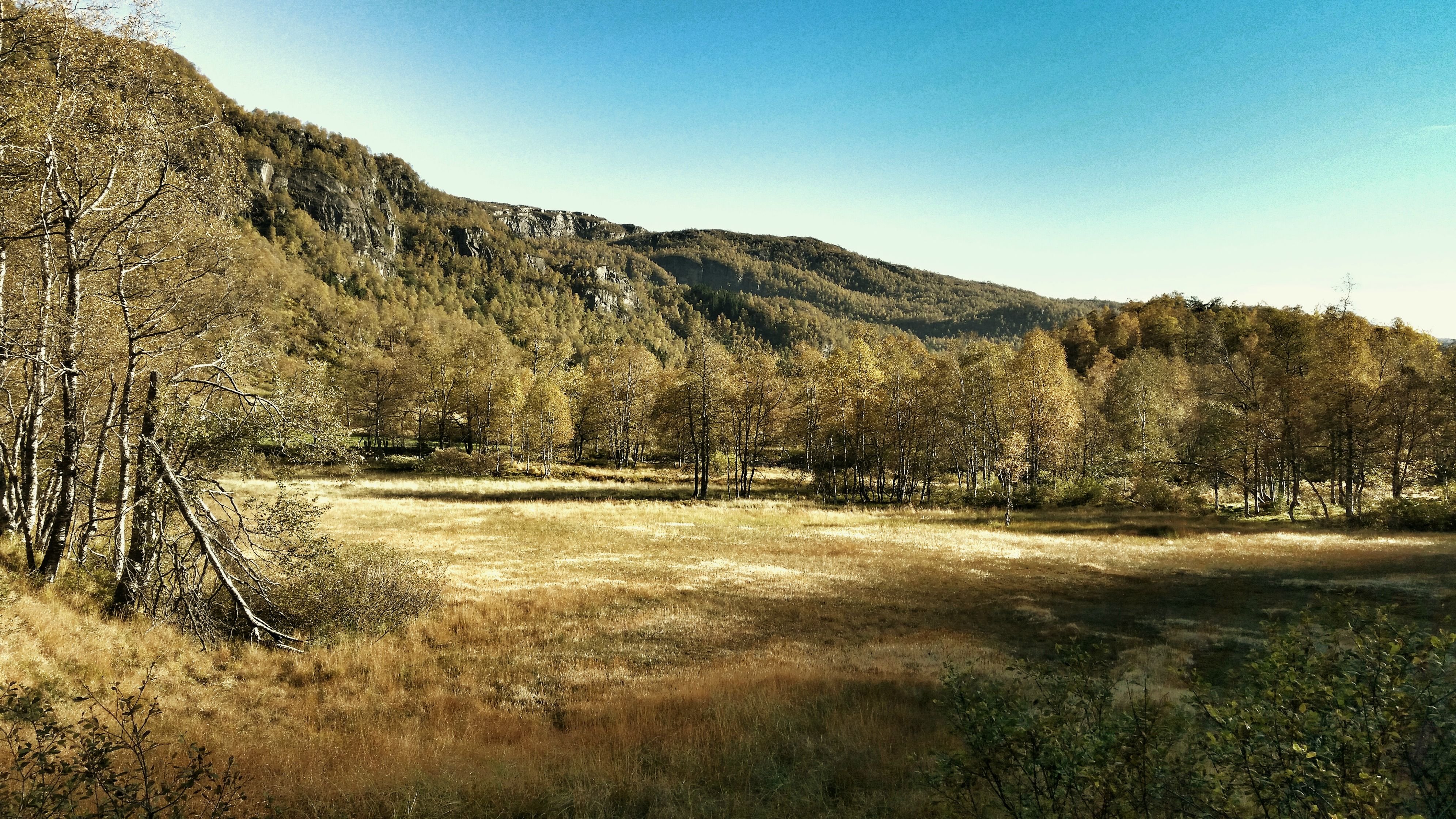 Rogaland 4K wallpaper for your desktop or mobile screen free and easy to download