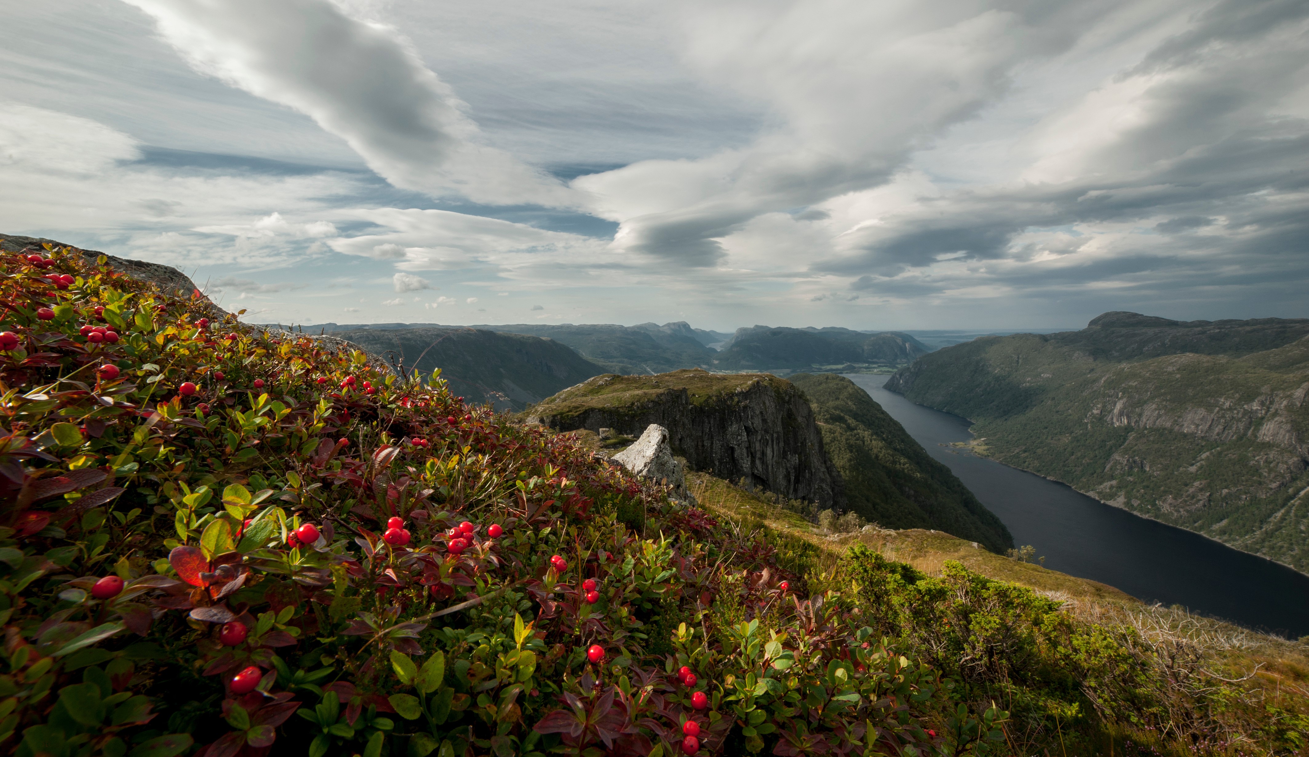 4K, Rogaland, Norway, Mountains, Scenery, Berry, Clouds Gallery HD Wallpaper
