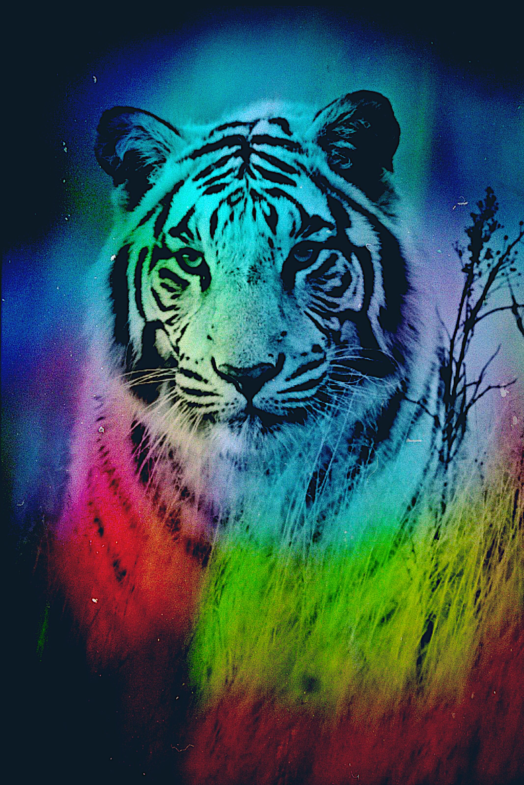 Rainbow tiger picture. Tiger picture, Big cats art, Canvas art projects