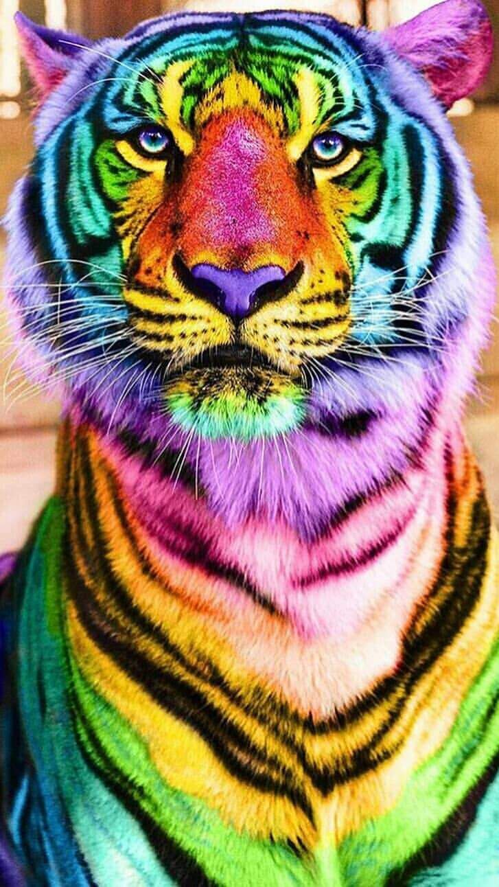 Colorful Tiger iPhone Wallpaper Wallpaper. Tiger, Cats iphone, Tiger wallpaper