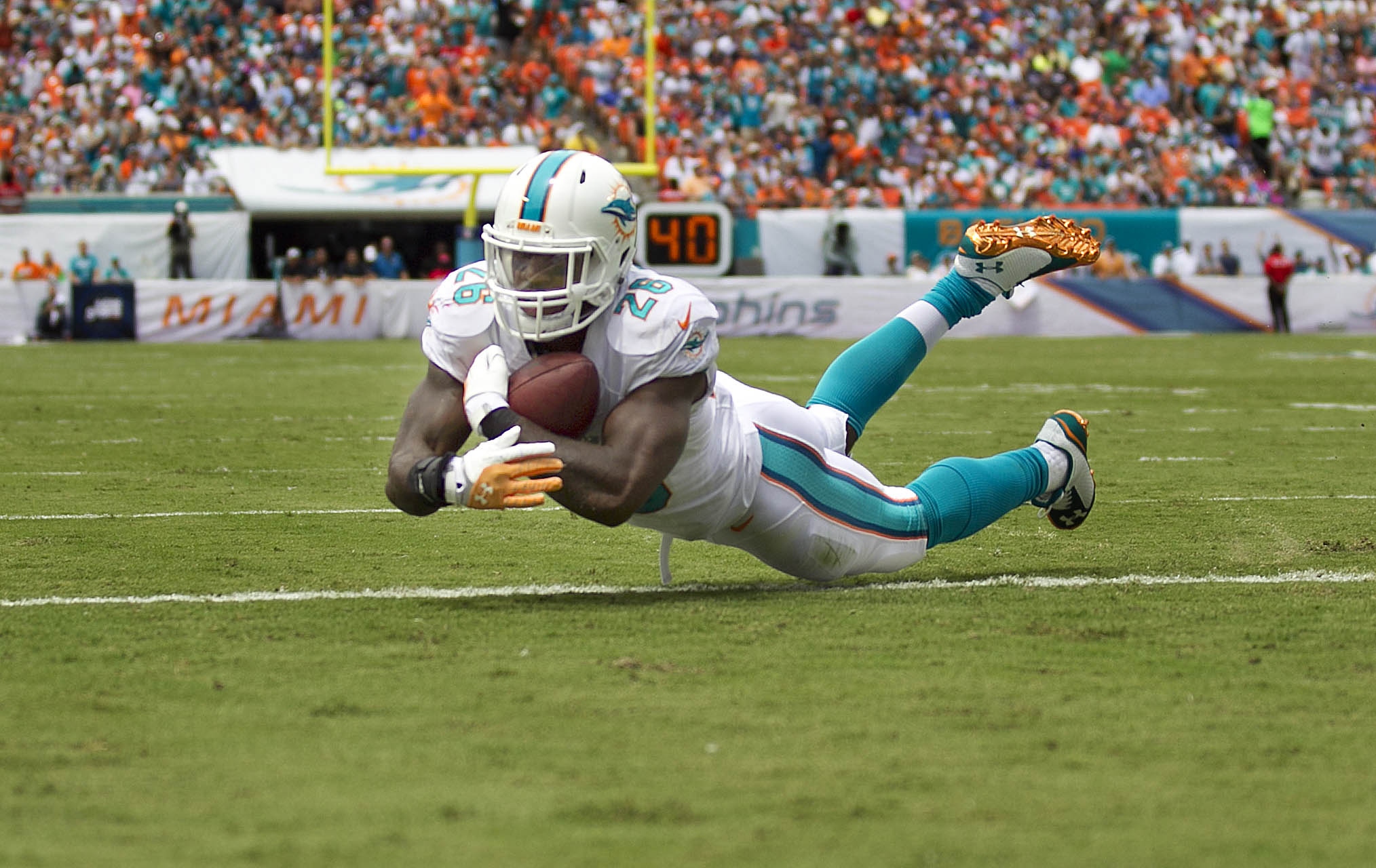 Miami Dolphins HD Wallpaper and Background
