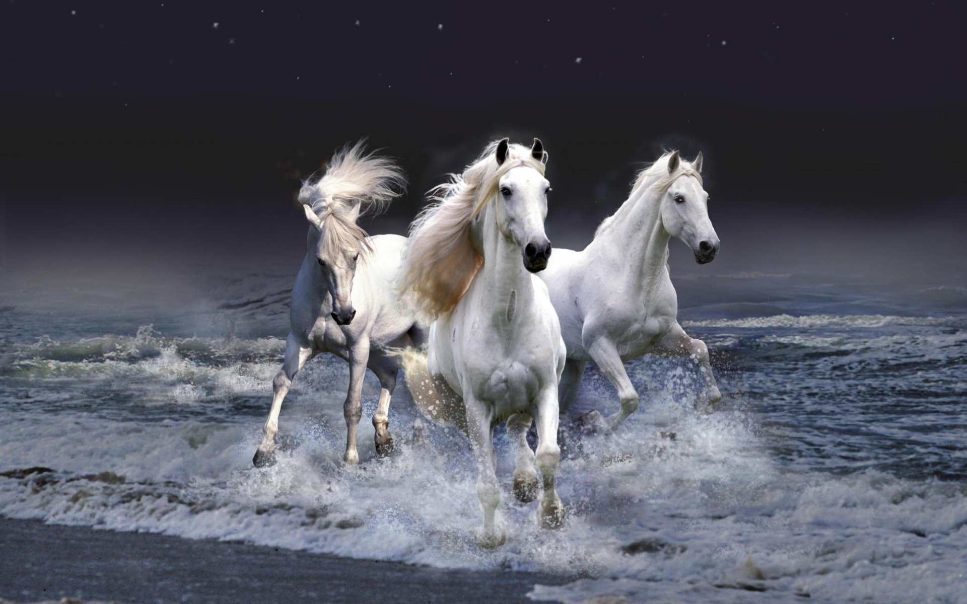 Download Horses wallpaper for mobile phone, free Horses HD picture