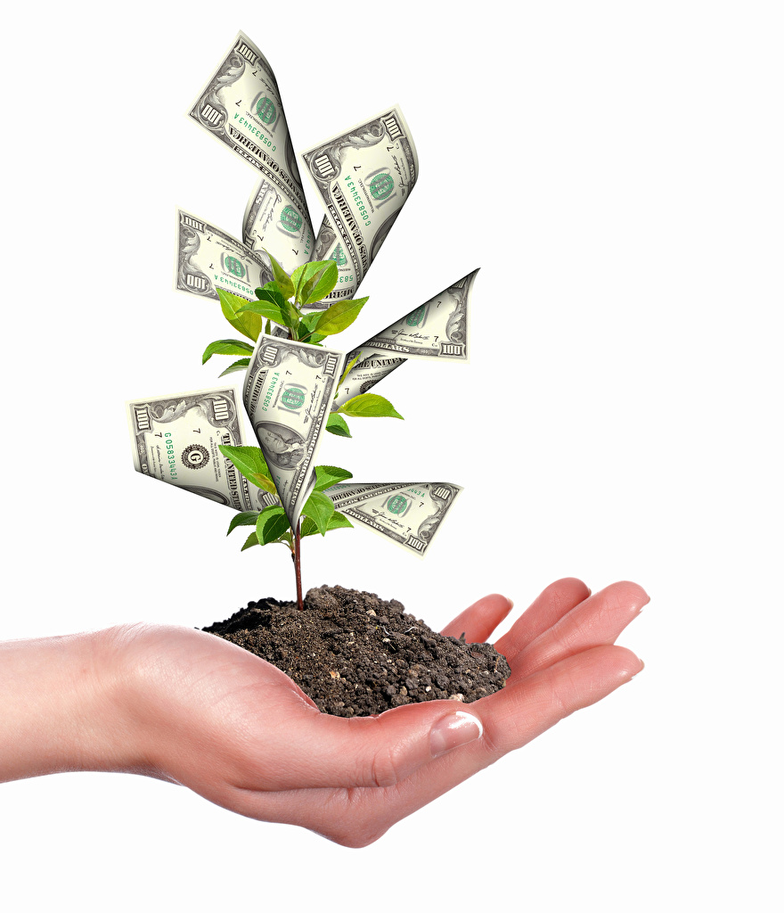 Wallpaper Paper money Soil Creative Money Hands Trees White