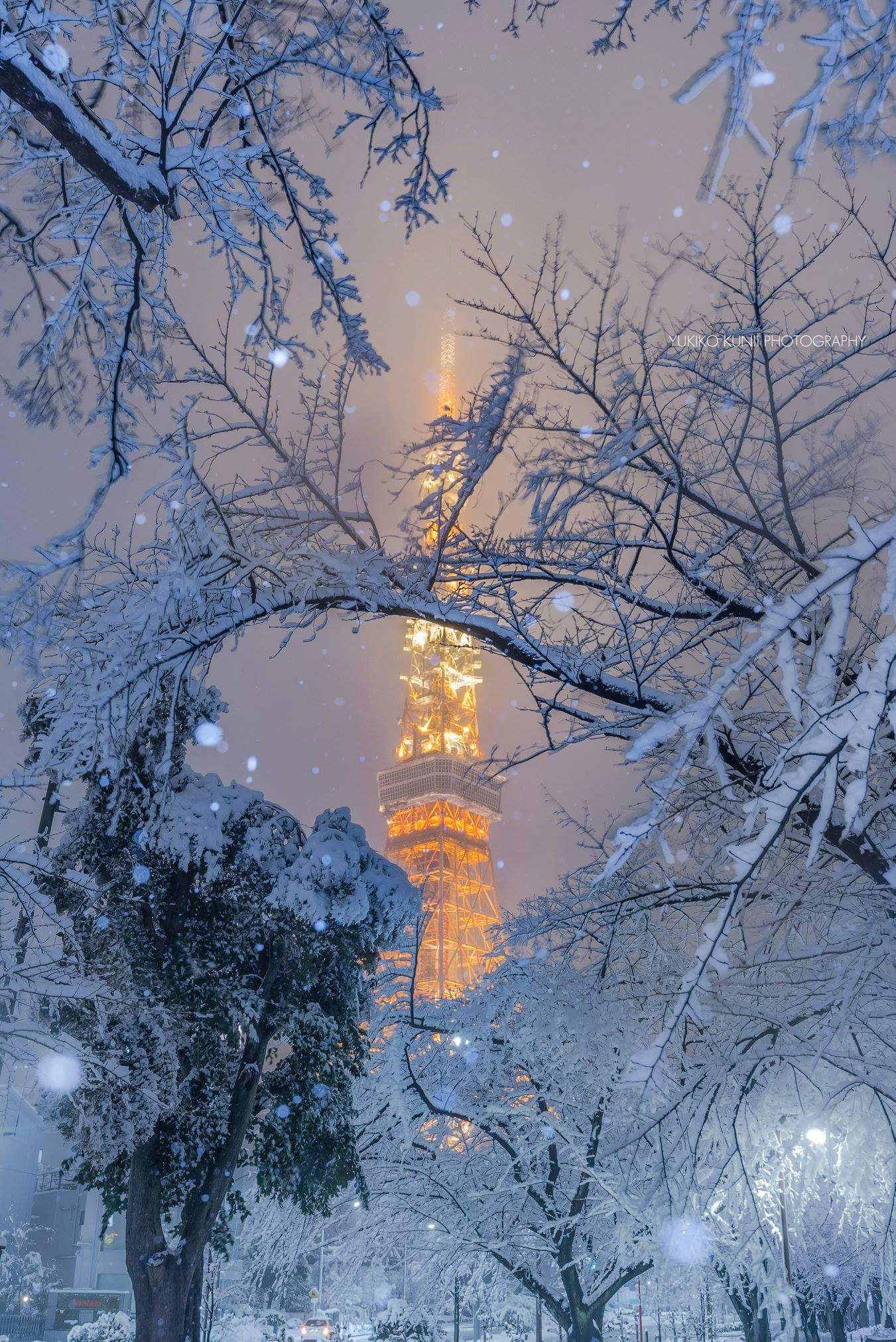 Tokyo tower #Tokyo. Winter scenery, Tokyo tower, Japan winter