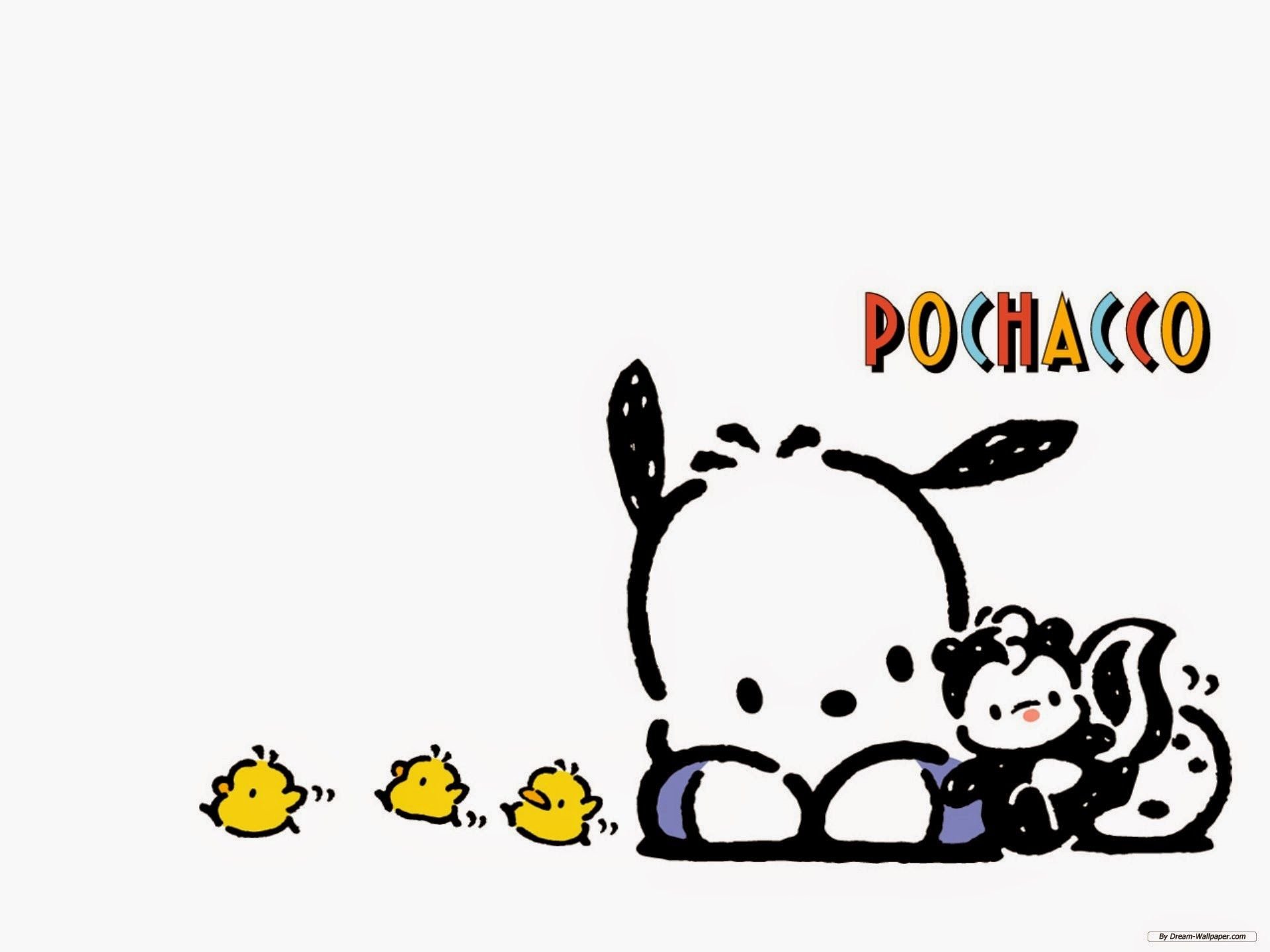 Pochacco Wallpaper