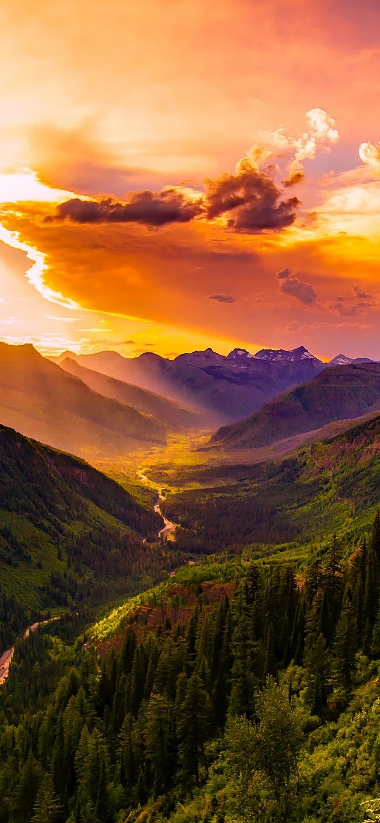 Mountains Forest Trees Horizon 4K Wallpaper