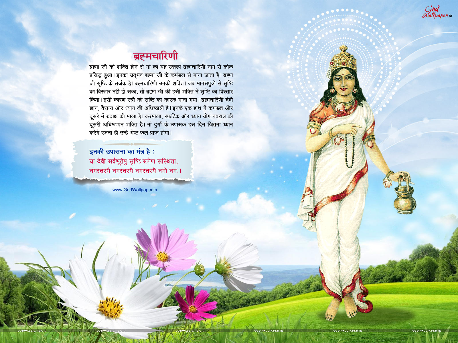 Maa Brahmacharini HD Wallpaper Download