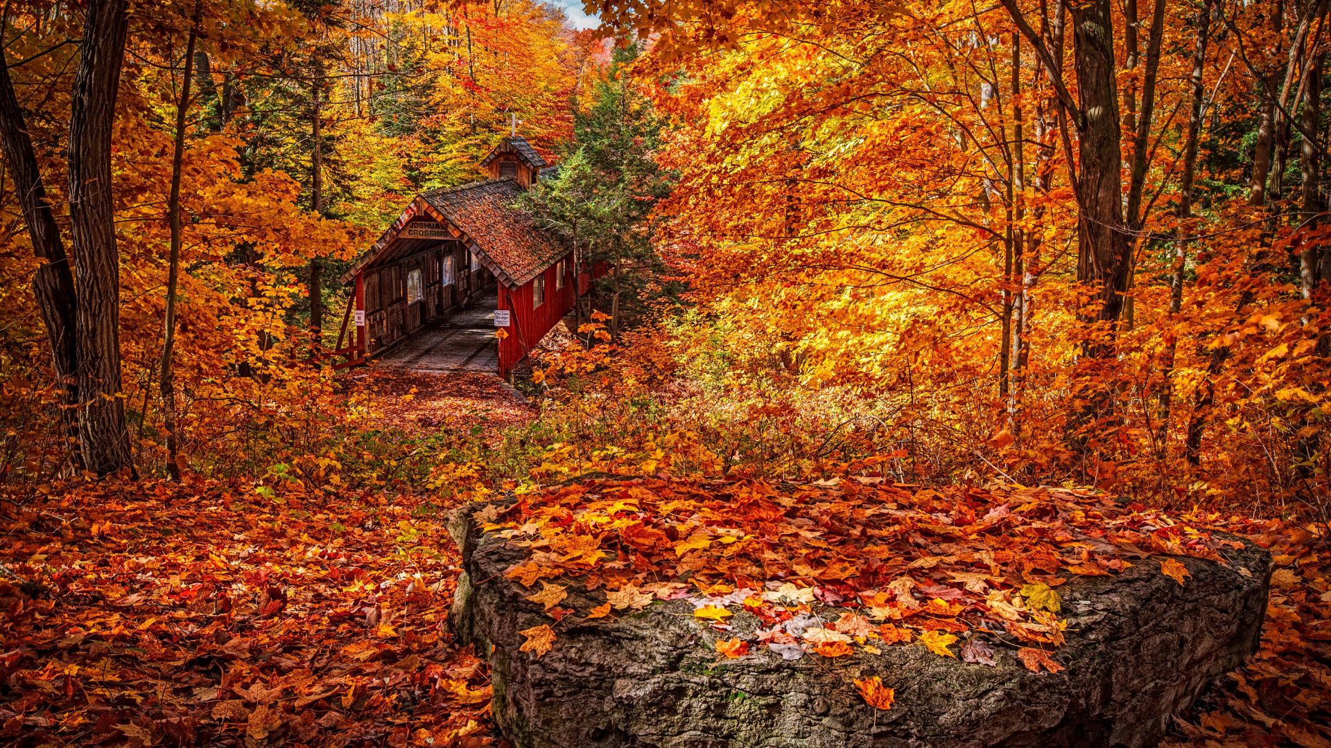 Windows Autumn Desktop Wallpapers Wallpaper Cave