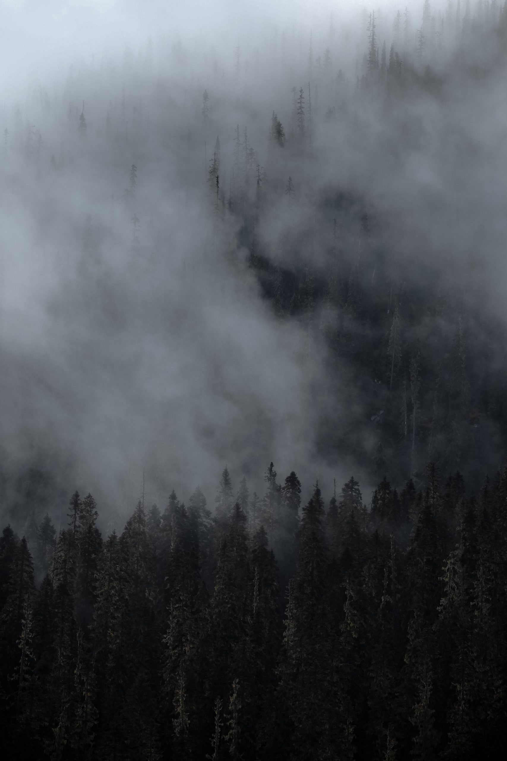 Aesthetic Dark Wallpaper for iPhone That Set the Mood