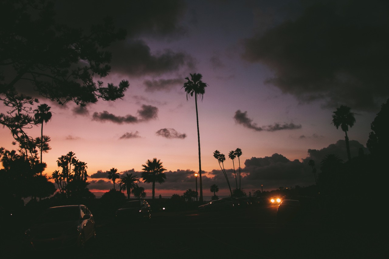 landscape, Photography, Palm trees, Car Wallpaper HD / Desktop and Mobile Background