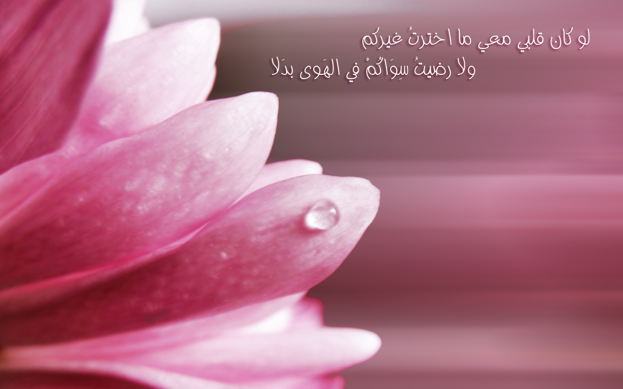 Free download Showing Gallery For Cute Girly Desktop Wallpaper [1280x800] for your Desktop, Mobile & Tablet. Explore Cute Girly Wallpaper. Cute Wallpaper for Laptops, Cool Girly Wallpaper