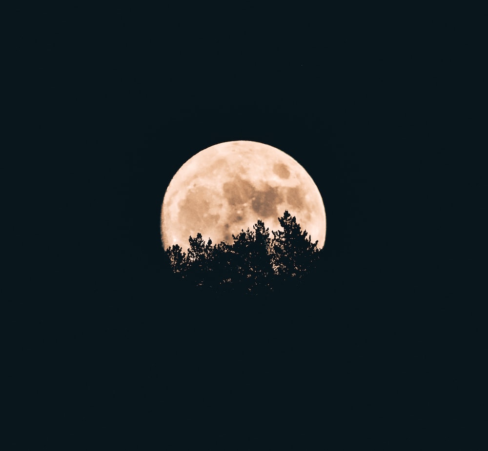 Night Sky Moon Picture. Download Free Image