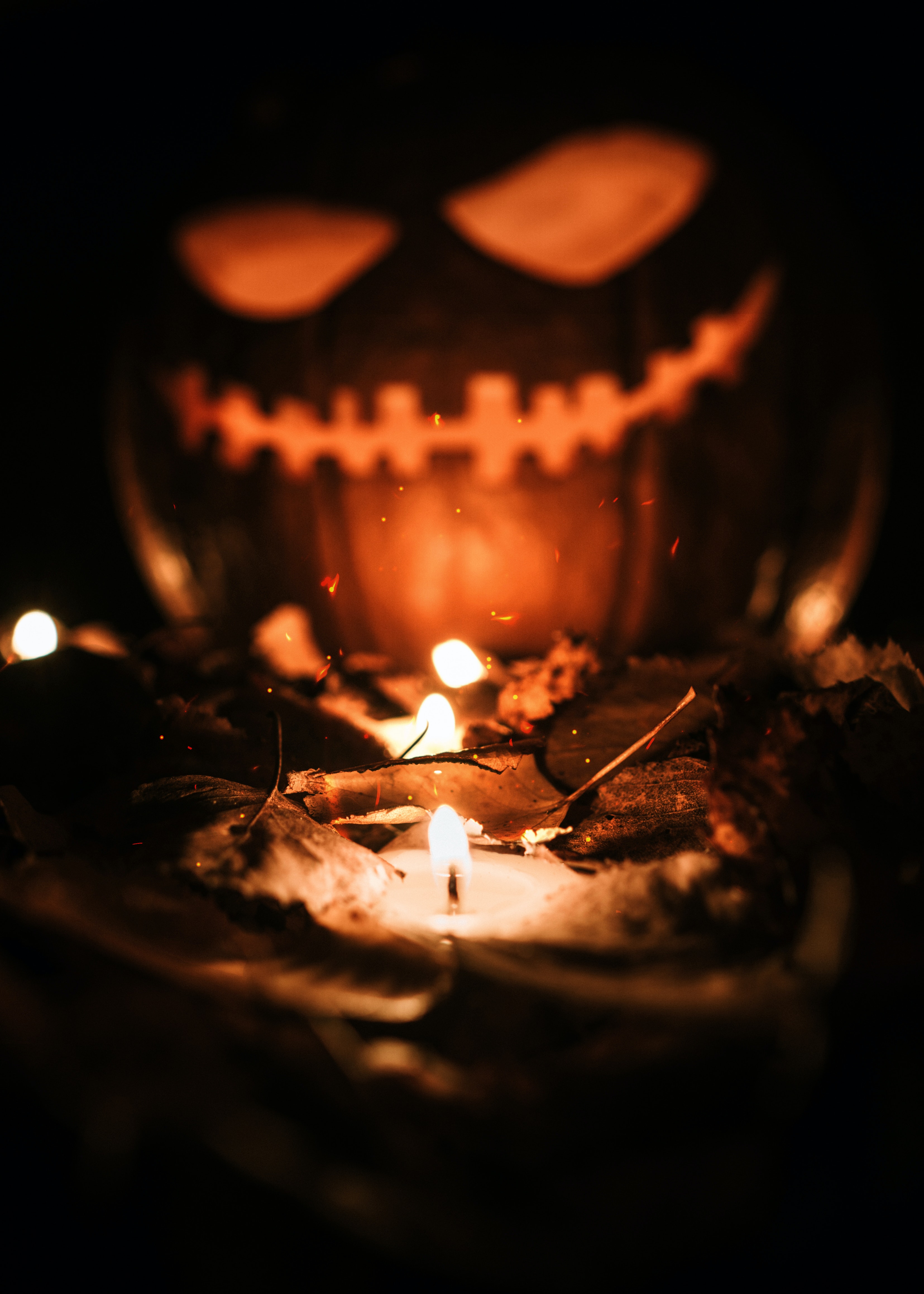 Halloween Background Photo, Download Free Halloween Background & HD Image