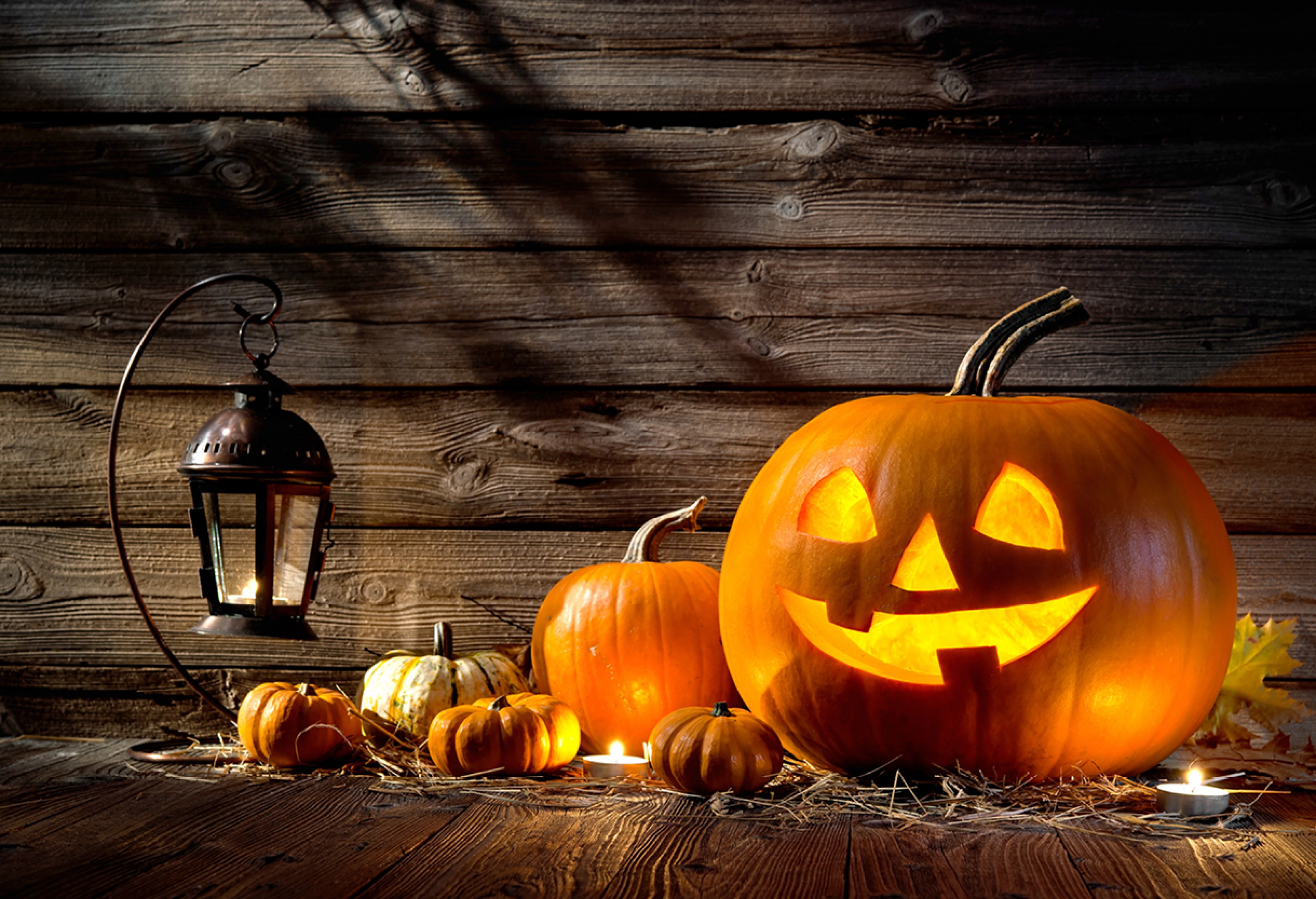 halloween wide wallpaper.com • 4K 5k 8k HD Desktop Wallpaper for Ultra High Definition Widescreen Desktop, Tablet & Smartphone wallpaper