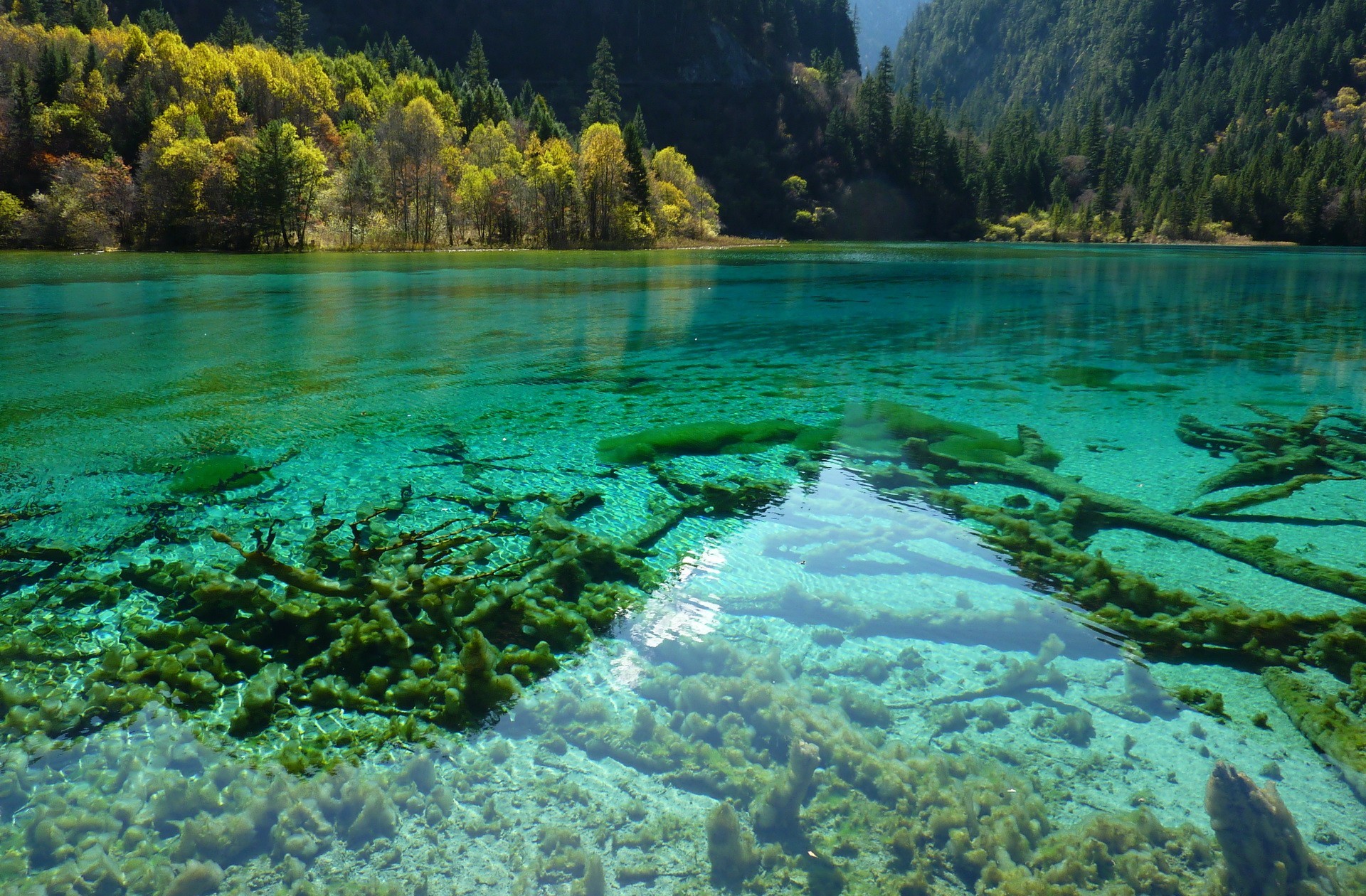Jiuzhaigou Park HD Wallpaper and Background