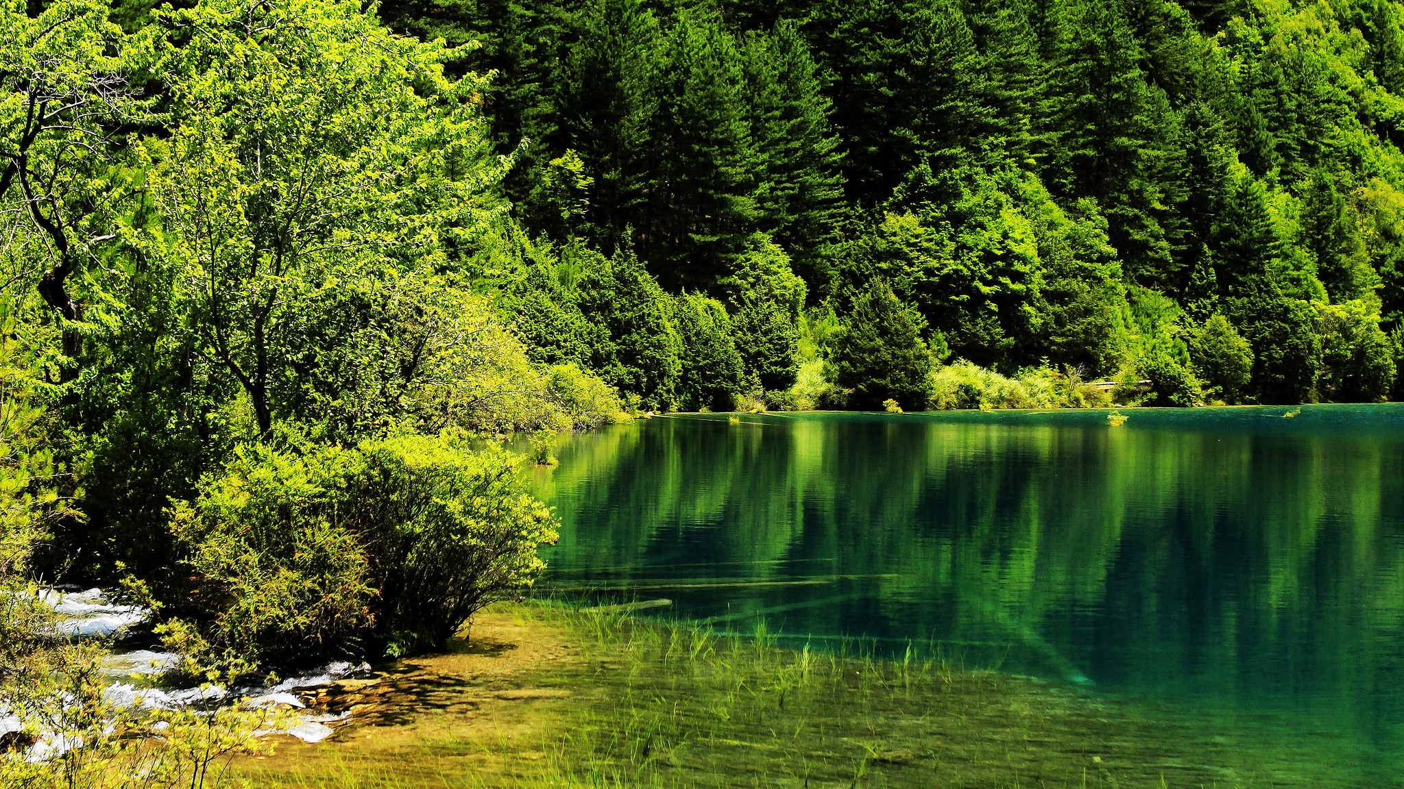 China, Parks, Summer, Lake, Forests, Jiuzhaigou park Gallery HD Wallpaper