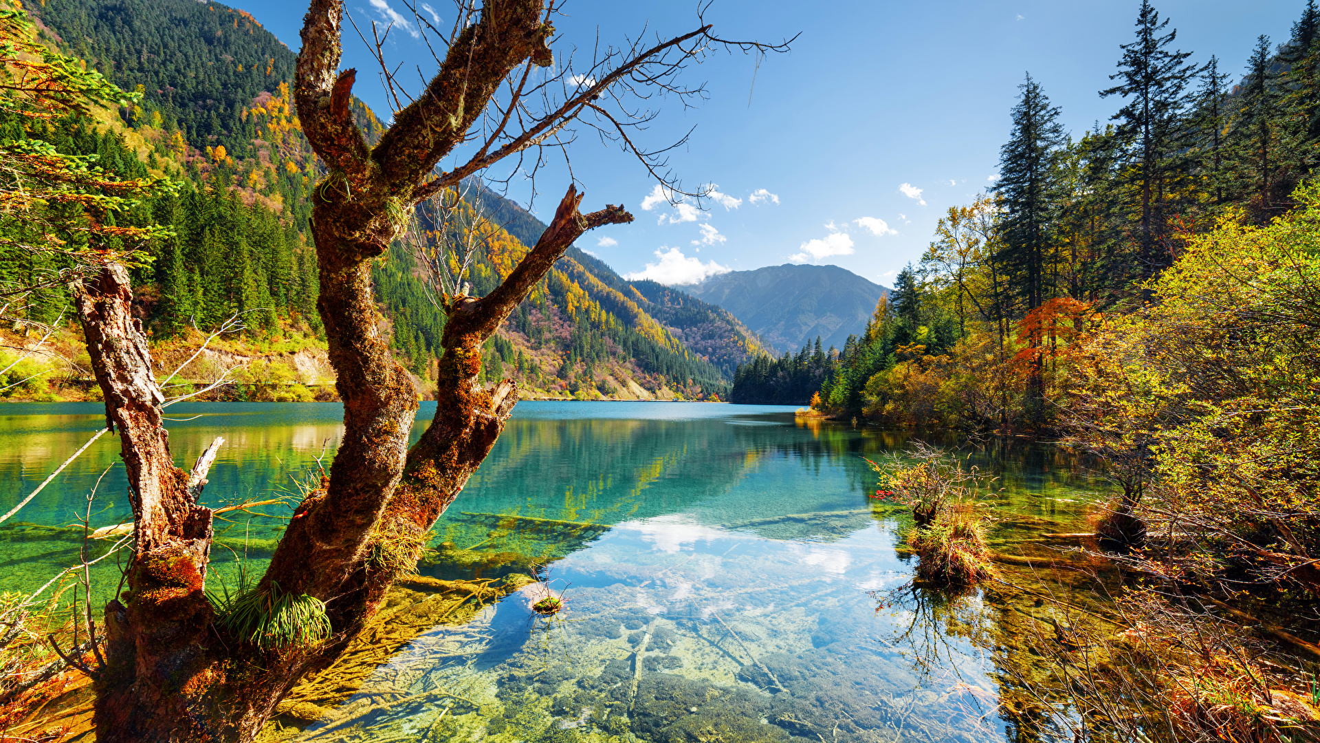 Desktop Wallpaper Jiuzhaigou park China Autumn Nature 1920x1080