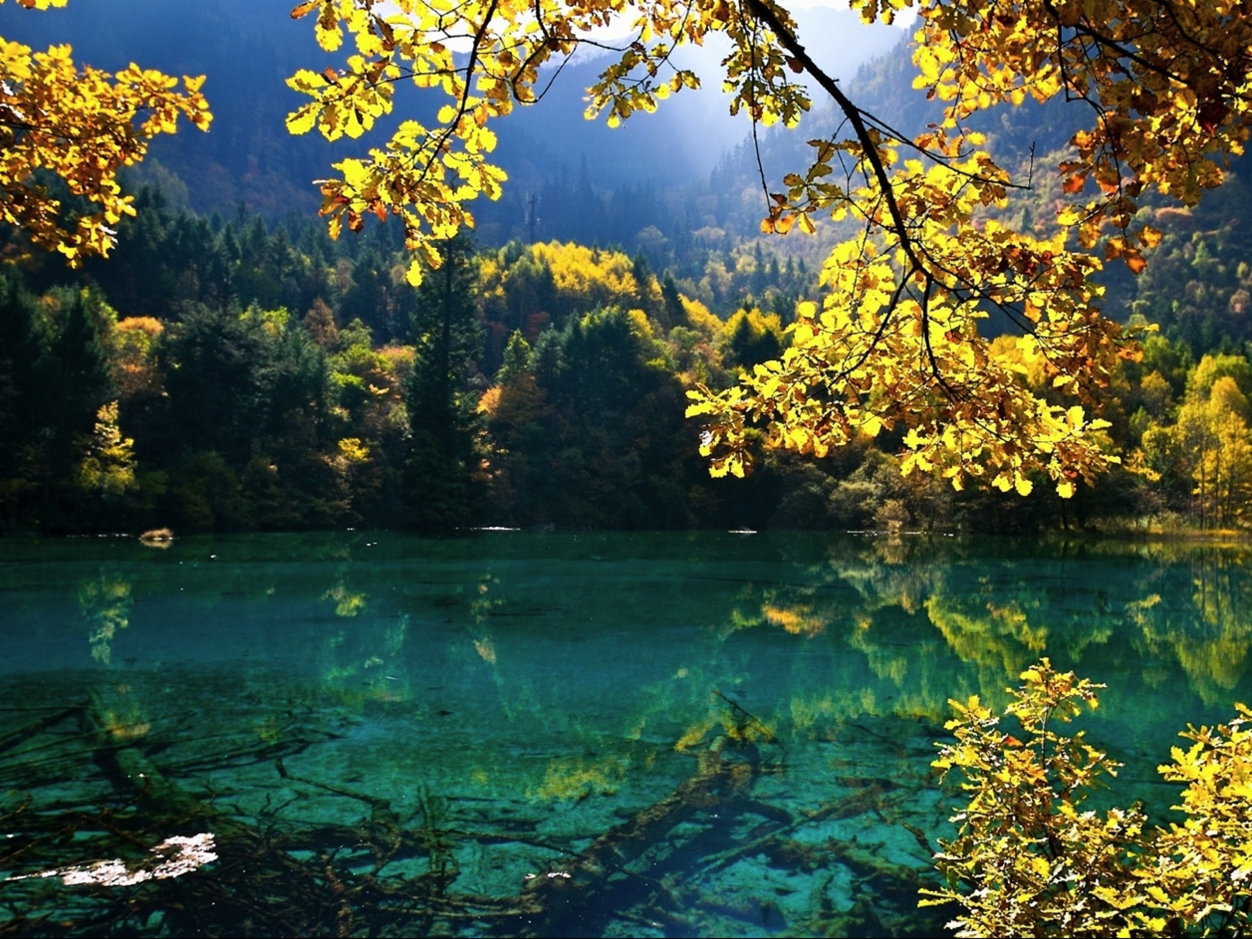 Free download China lakes National Park Jiuzhaigou szichuan Wallpaper [2560x1920] for your Desktop, Mobile & Tablet. Explore National Wallpaper Company. National Geographic Wallpaper, National Wallpaper and Blinds, National Blind