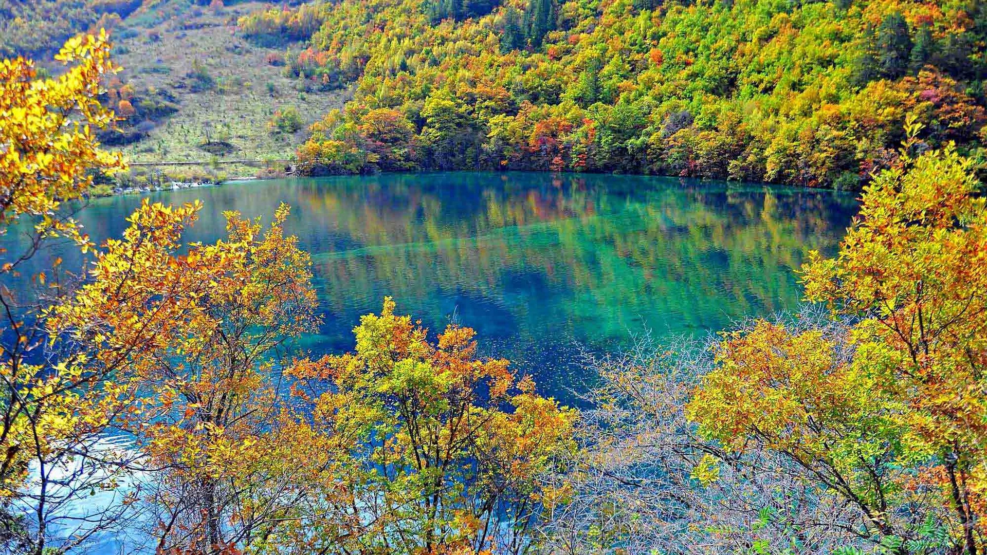 Crystalline turquoise lake, jiuzhaigou national park, china. picture, photo, desktop wallpaper