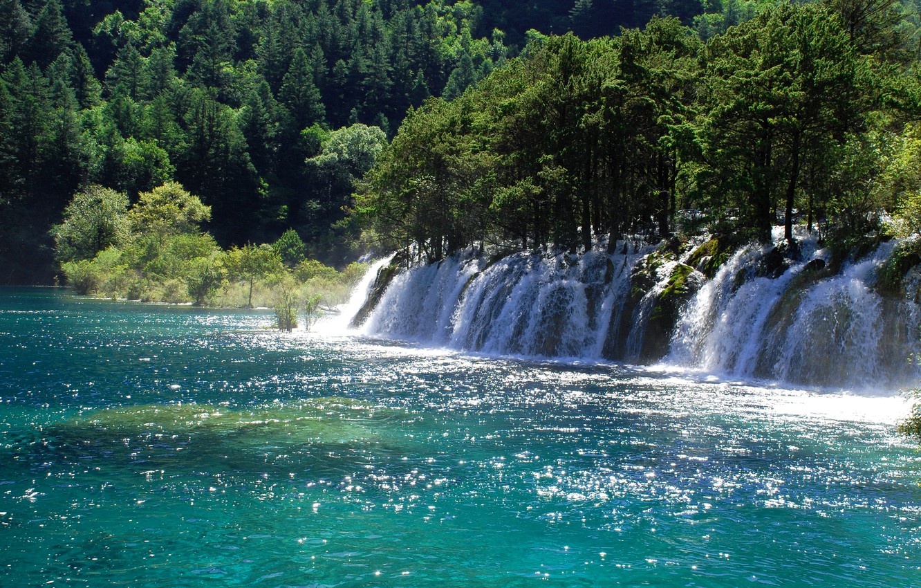 Wallpaper trees, river, waterfall, China, Sunny, Jiuzhaigou National Park image for desktop, section природа
