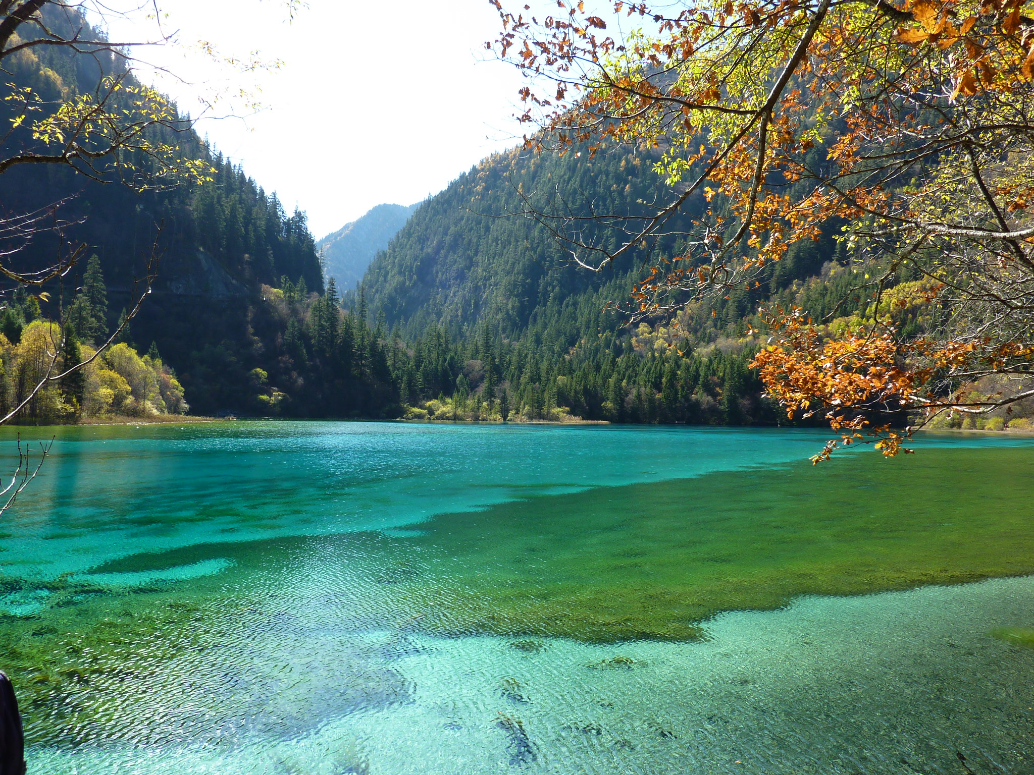 Jiuzhaigou Valley. beam me up, biscotti!