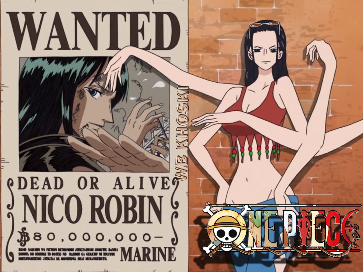 Archeologist NICO ROBIN WANTED