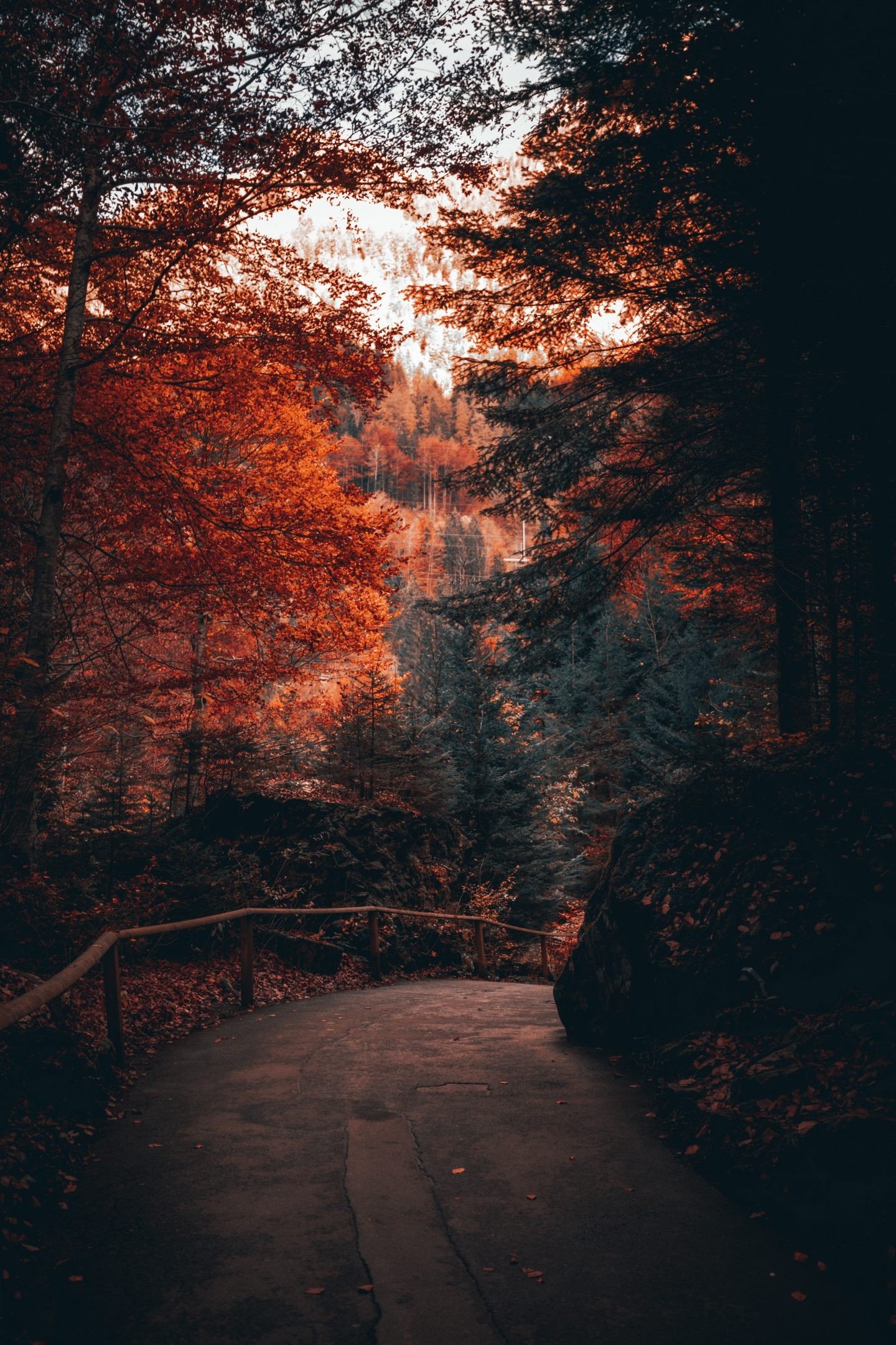 iPhone Autumn Aesthetic Wallpapers - Wallpaper Cave
