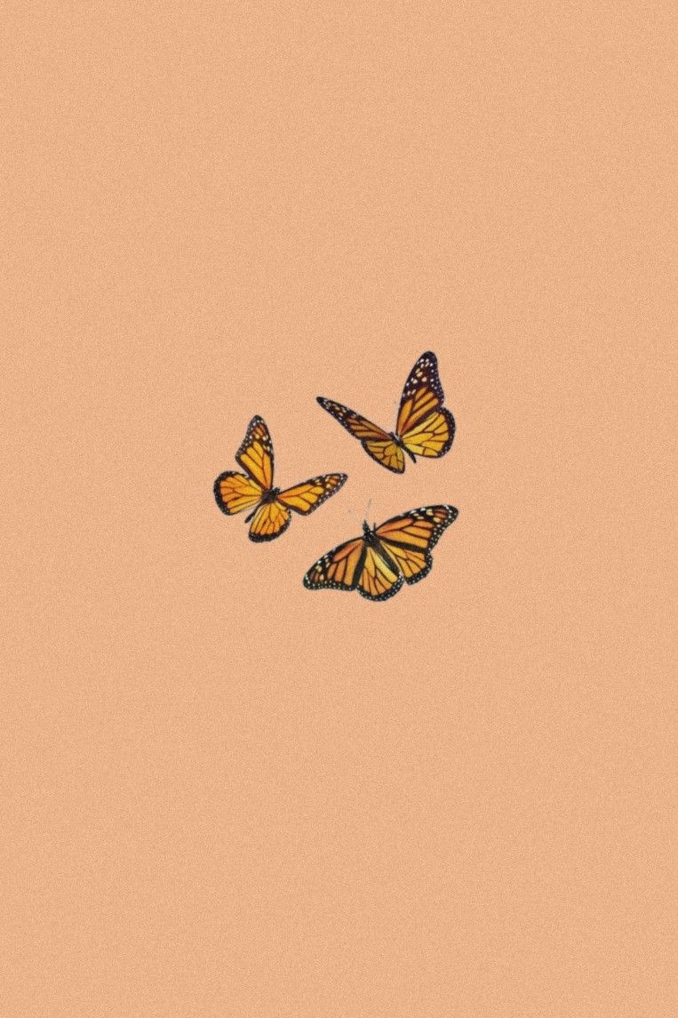 Aesthetic iphone wallpaper. Orange wallpaper, Orange butterfly, Wallpaper iphone neon