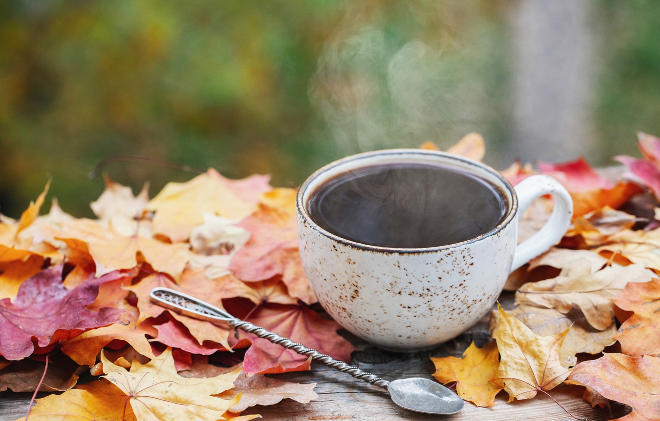 Wallpaper autumn, leaves, wood, autumn, leaves, coffee cup, a Cup of coffee image for desktop, section настроения