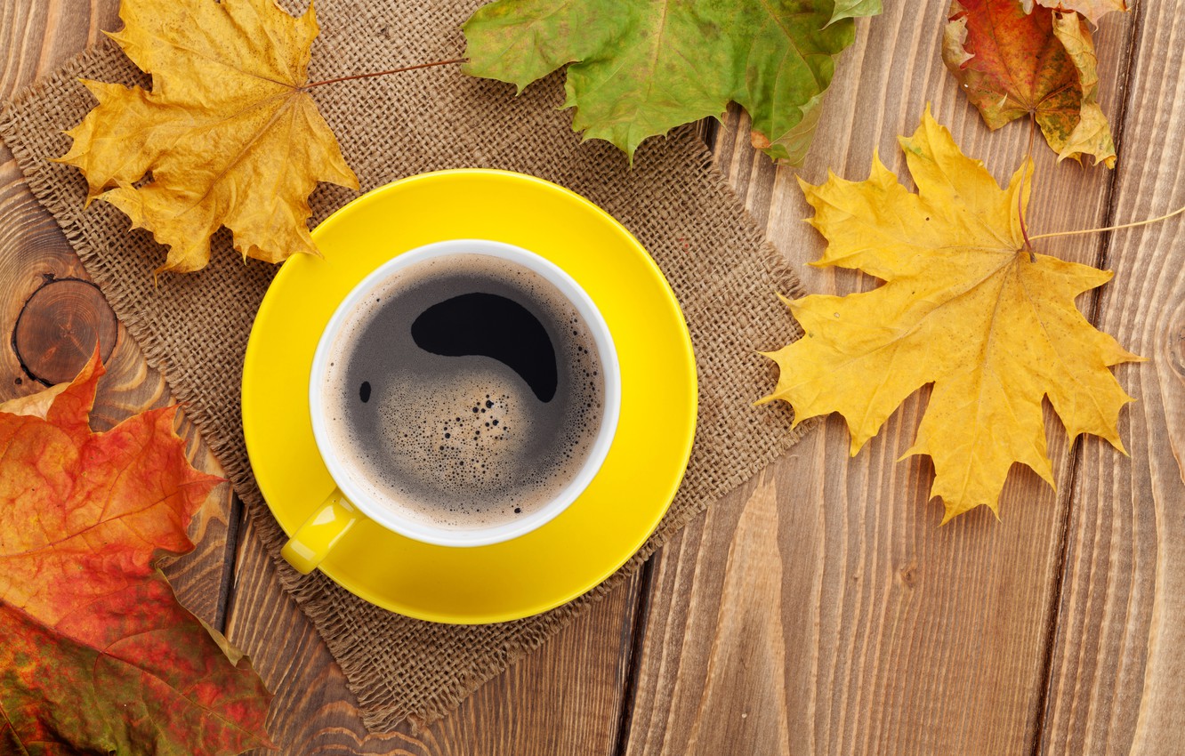 Wallpaper autumn, coffee, Cup, maple, autumn, leaves, cup, coffee, fall, autumn leaves, maple image for desktop, section разное