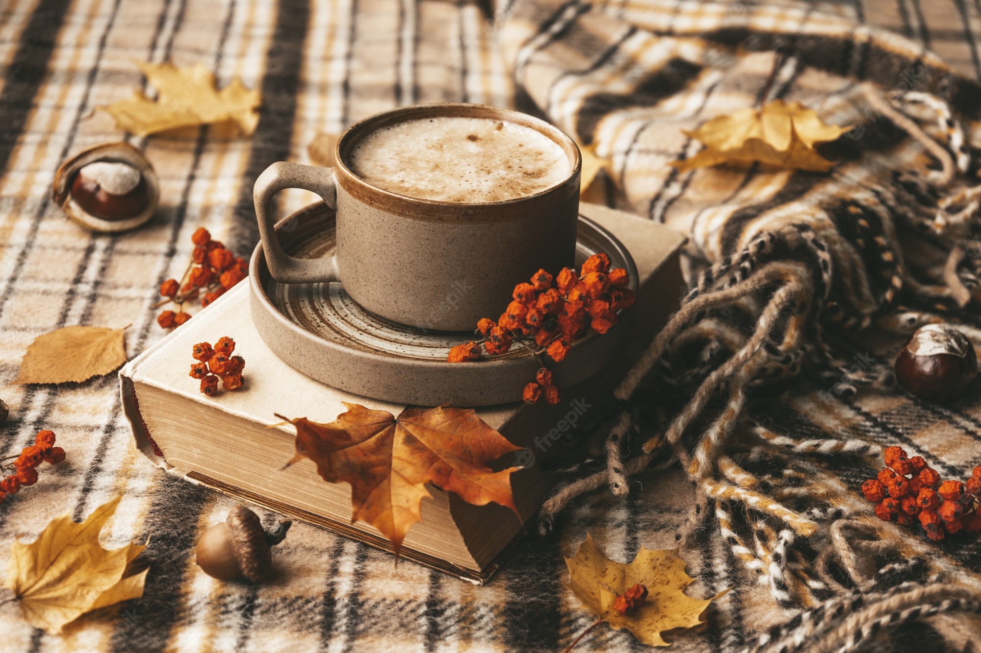 Premium Photo. Atmospheric cozy autumn composition hot mug of coffee book fall leaves chestnut ashberry acorns