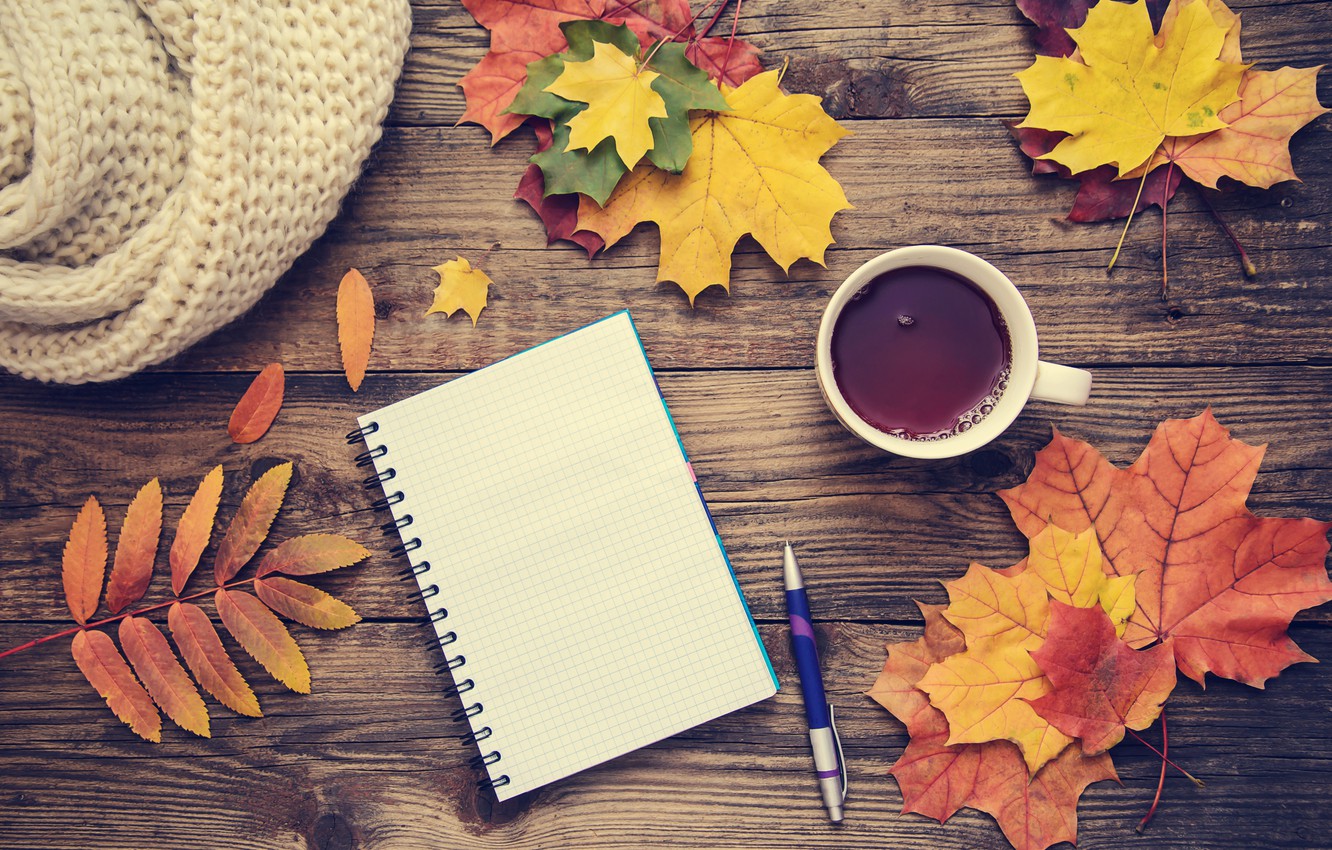 Wallpaper autumn, leaves, background, colorful, maple, wood, notebook, autumn, leaves, cup, coffee, a Cup of coffee, maple image for desktop, section настроения