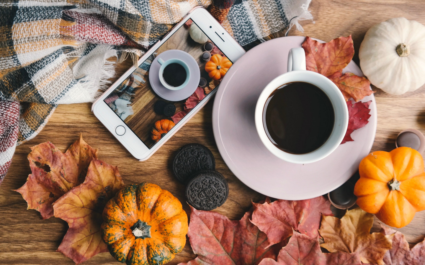 Download wallpaper: Autumn, coffee, pumpkins, leaves 1440x900