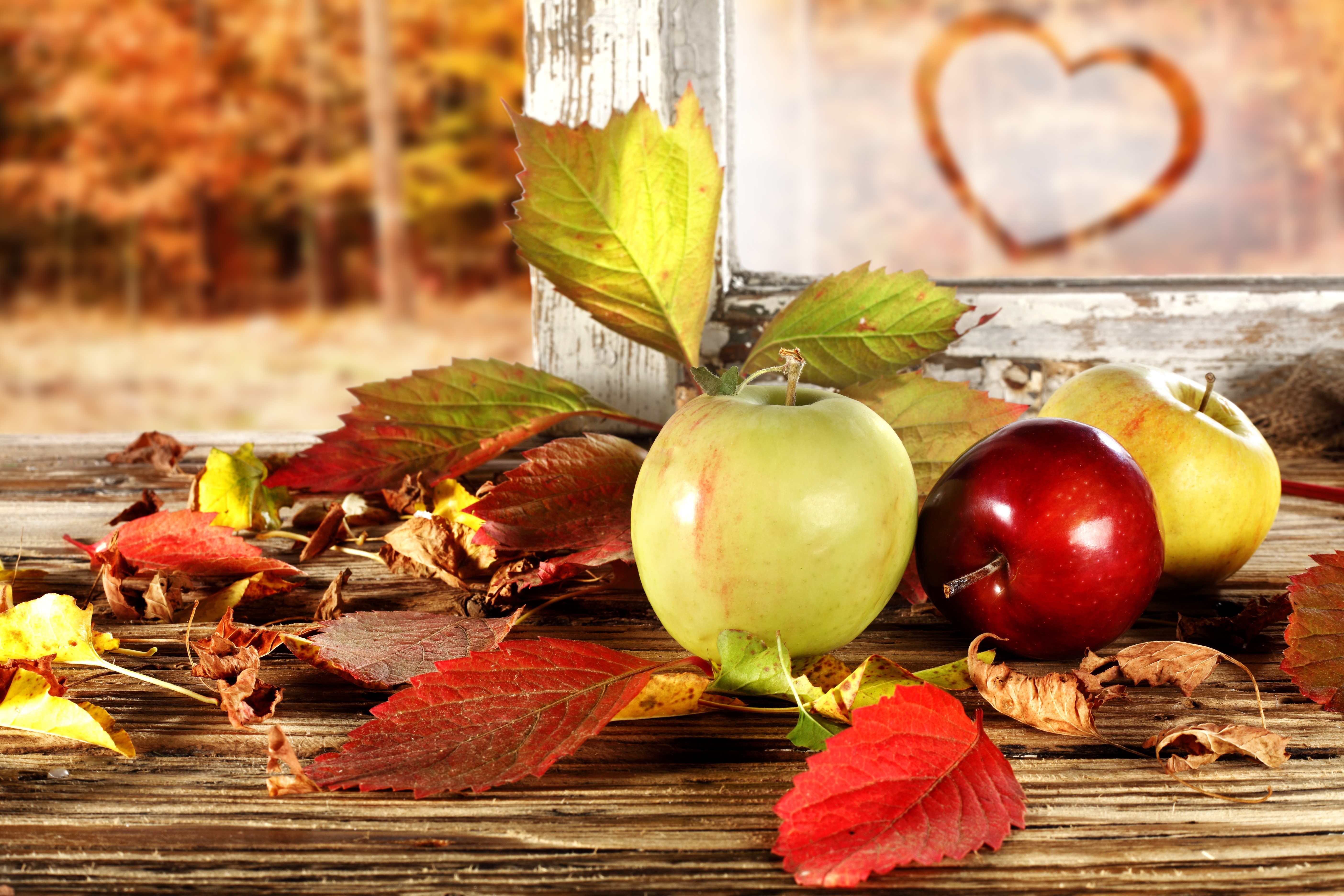4K, 5K, Apples, Autumn, Foliage Gallery HD Wallpaper