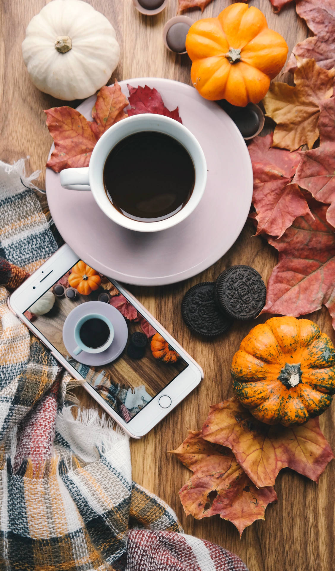 Download Coffee In Autumn Photo Wallpaper