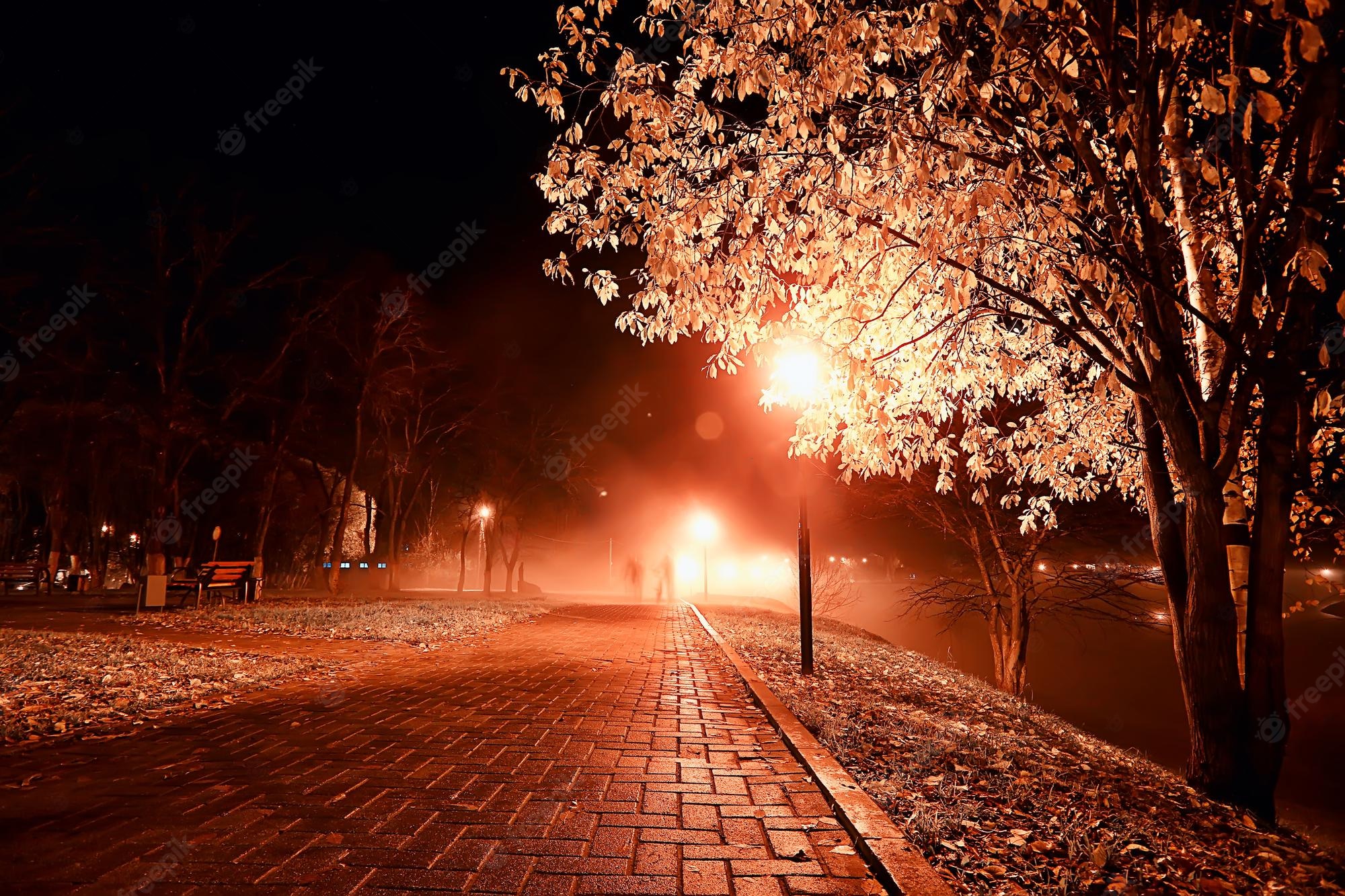 Premium Photo. Night in the park landscape, abstract view of the alley, trees and lights in the autumn blurred background