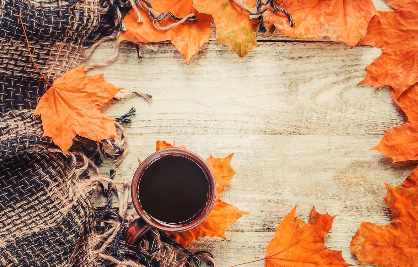 Wallpaper autumn, leaves, plaid, wood, autumn, leaves, coffee cup, a Cup of coffee image for desktop, section настроения