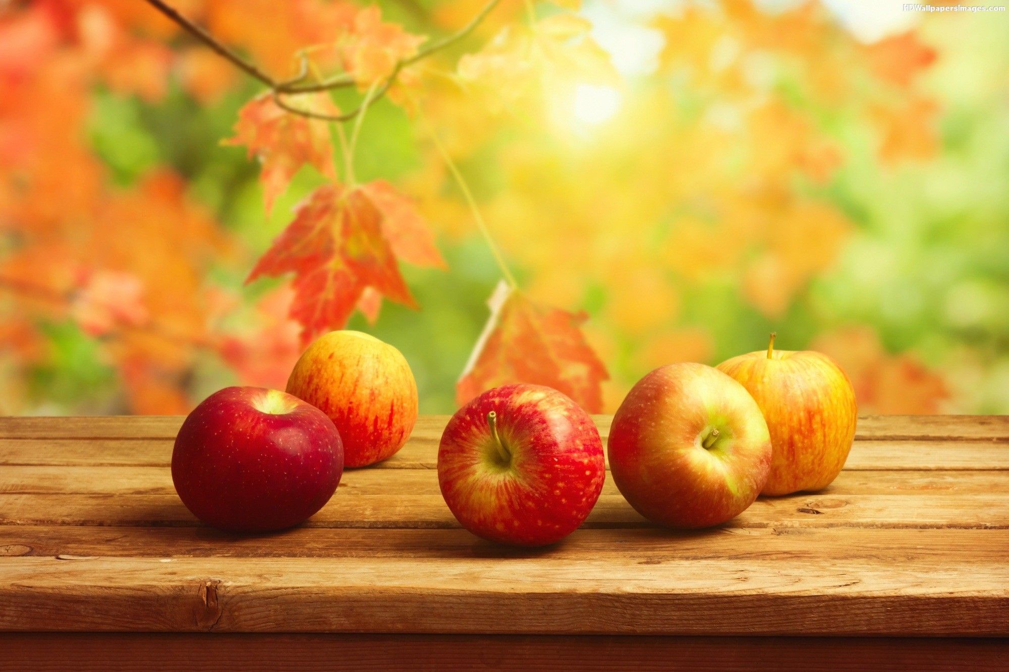 Fall Apples Wallpaper