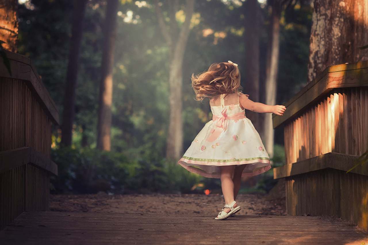 Photo Little girls child Fence gown
