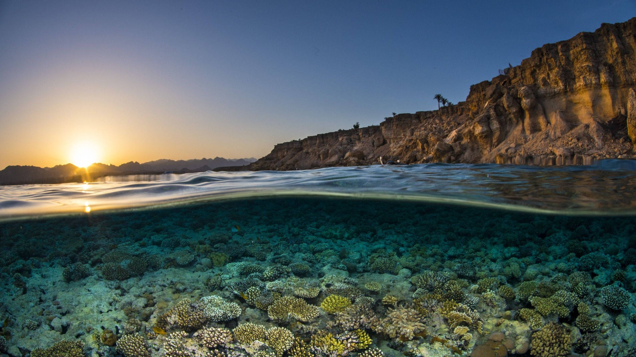 Download Underwater Ocean And Sunset Wallpaper