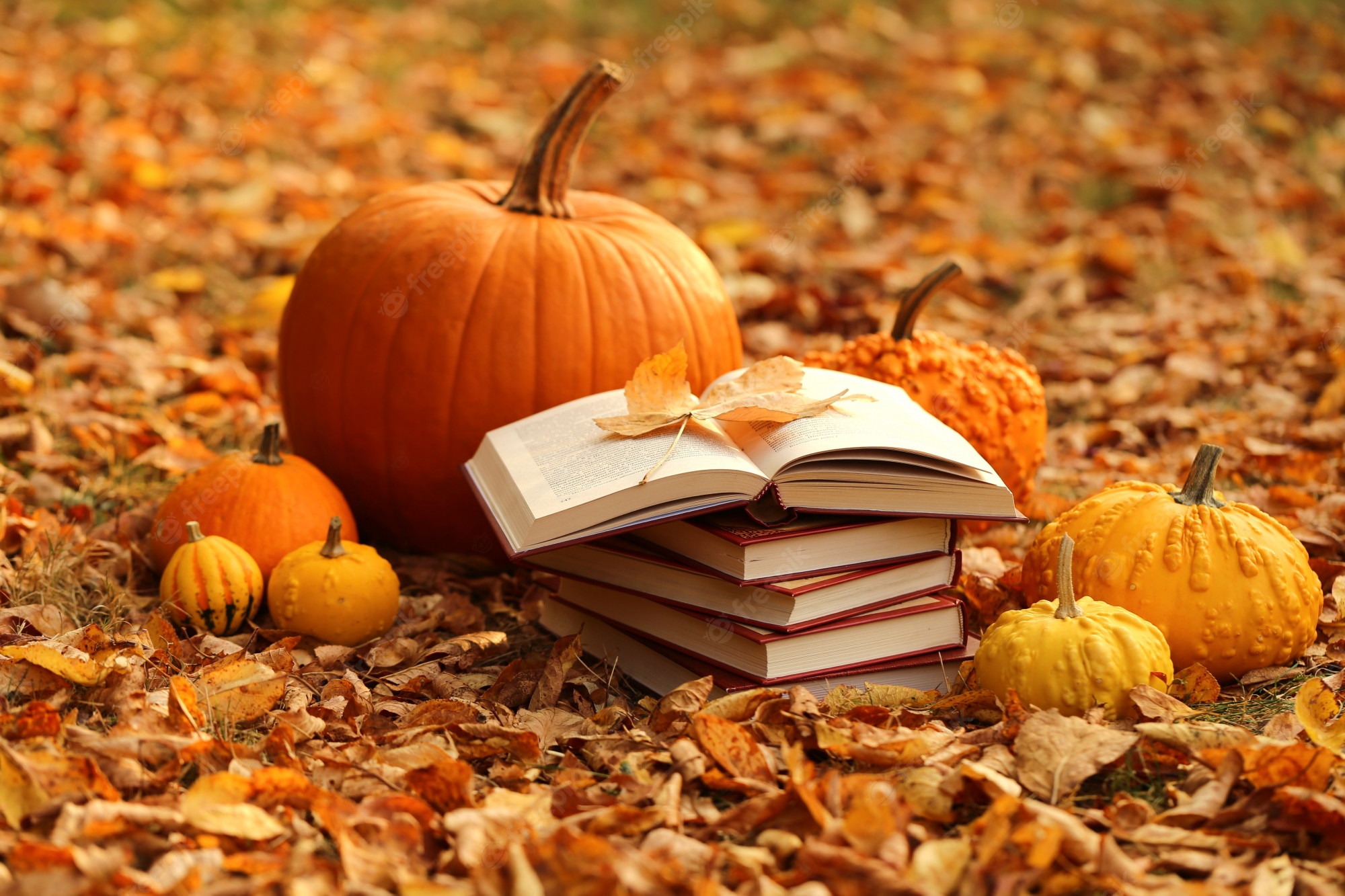 Premium Photo. Autumn books. reading books about autumn.halloween books