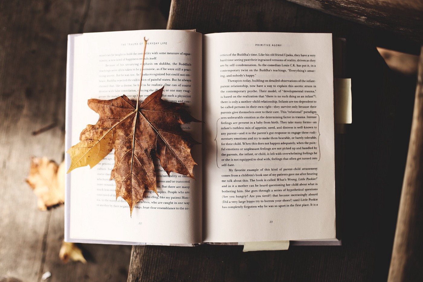 Books to Read in the Fall. Spooky, moody and cute