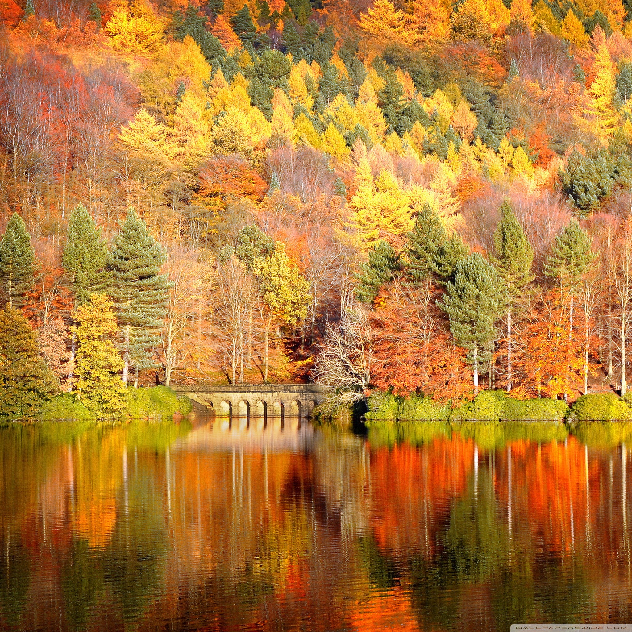 Beautiful Lake Reflection, Autumn Ultra HD Desktop Background Wallpaper for 4K UHD TV, Multi Display, Dual Monitor, Tablet