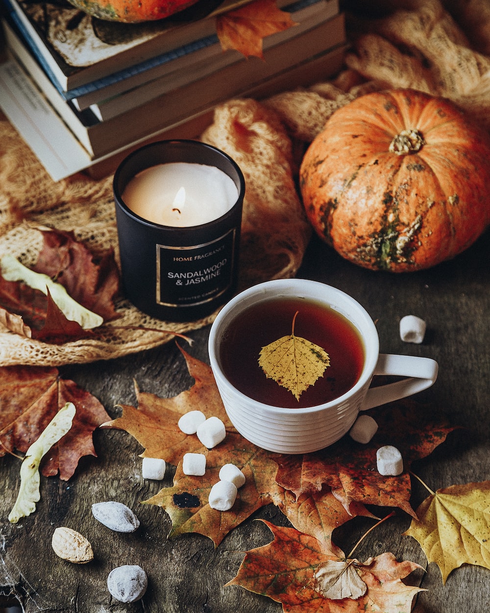 Cozy Fall Picture. Download Free Image